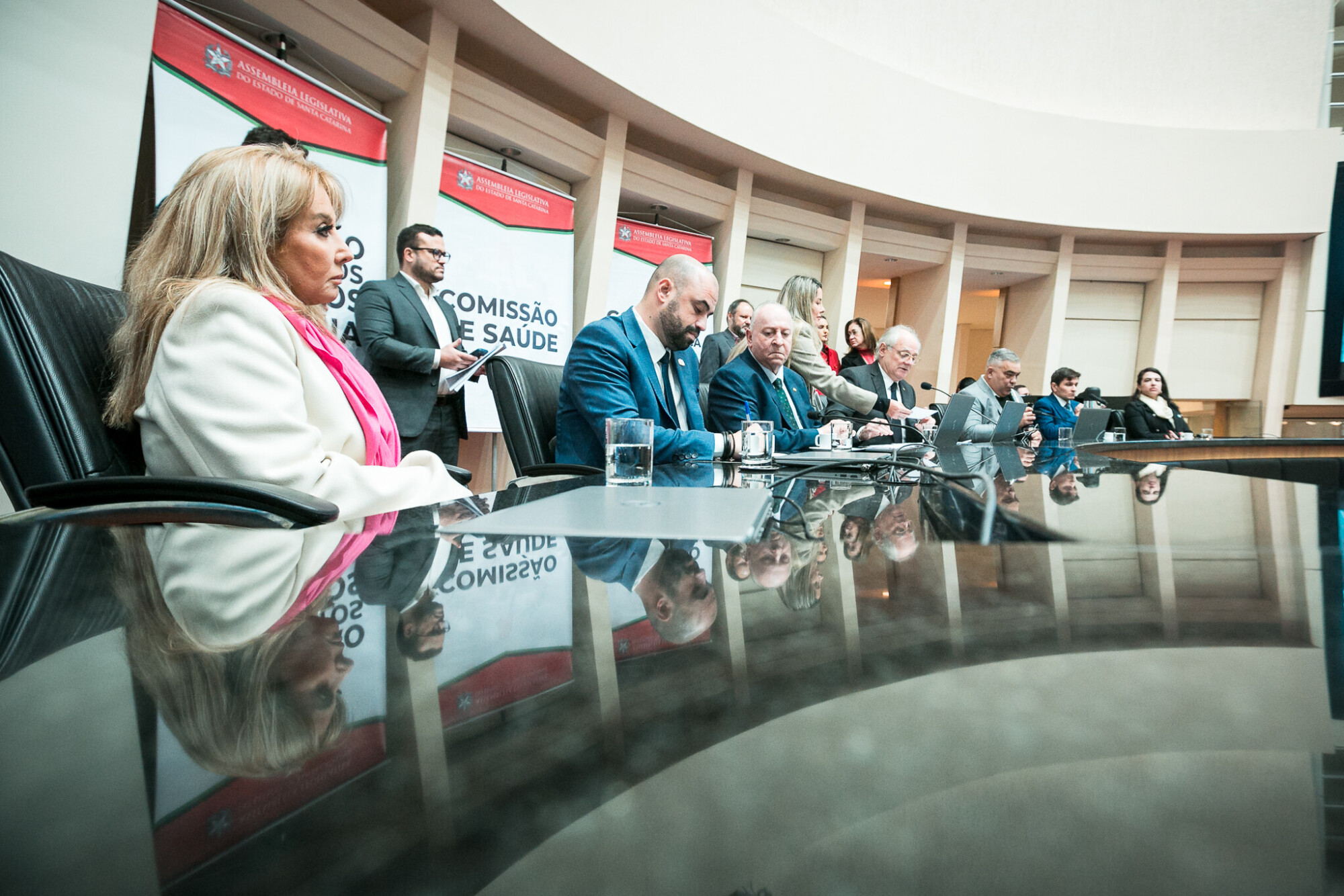 Reunião Conjunta Saúde, Direitos Humanos e Família e Segurança Pública – Hospitais de Custódia