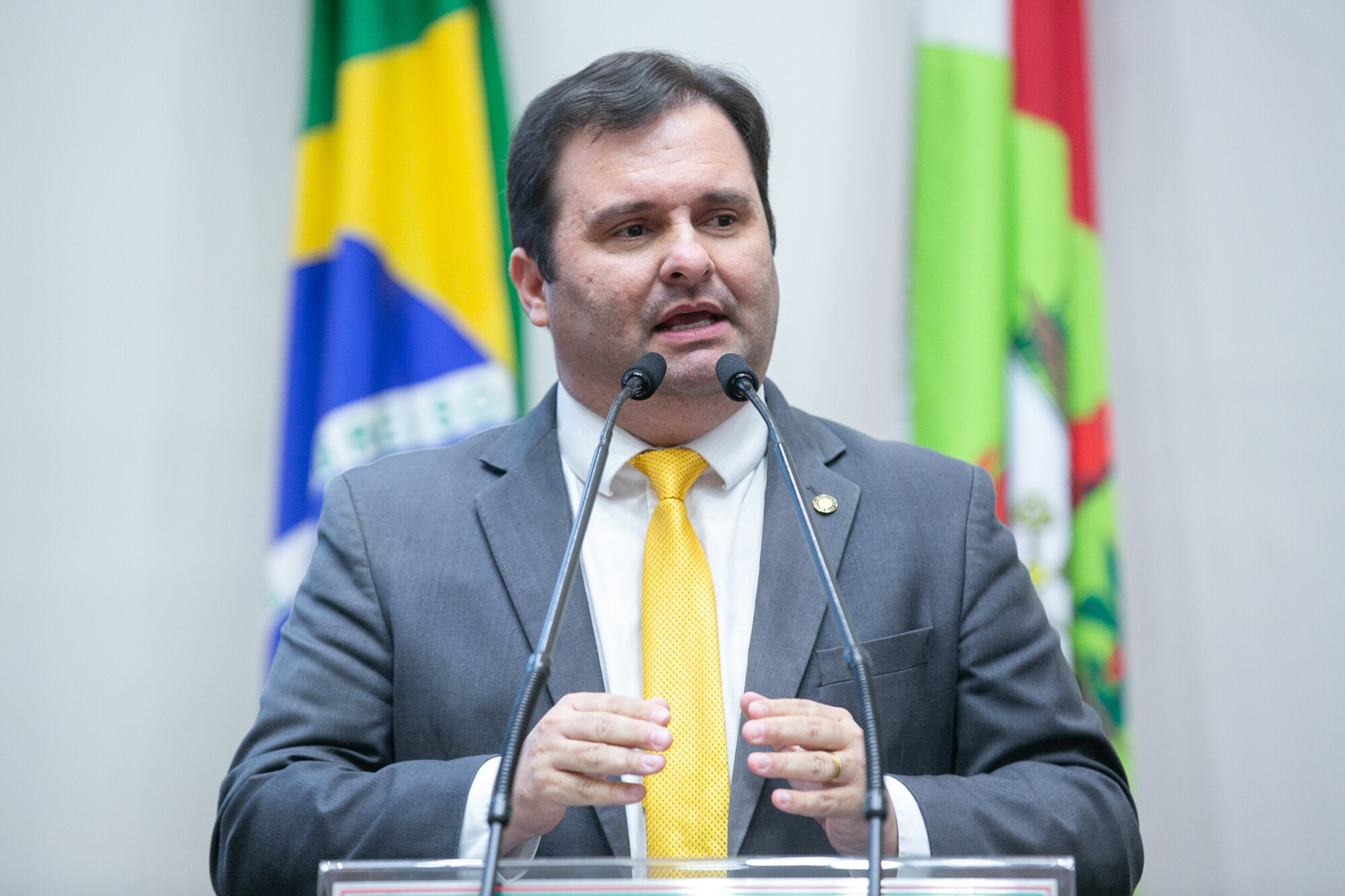 - Deputado Sérgio Guimarães(União)