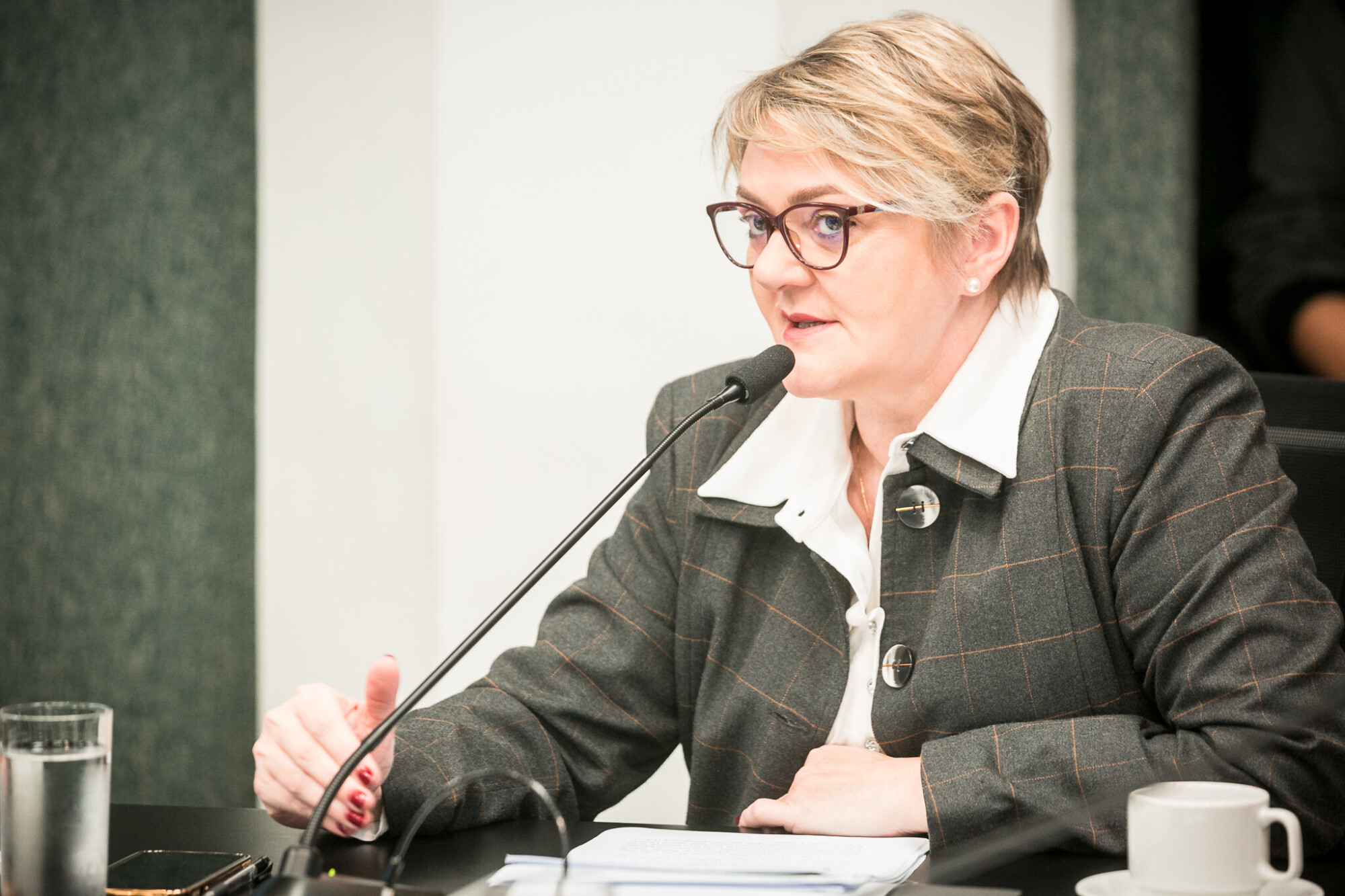 - Deputada Luciane Carminatti (PT)
