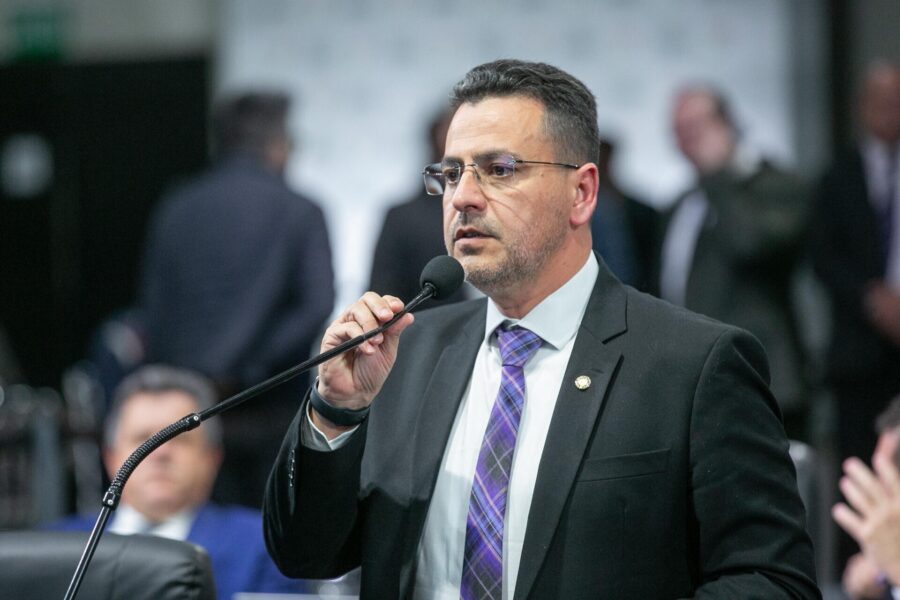 Deputado Estêner Soratto