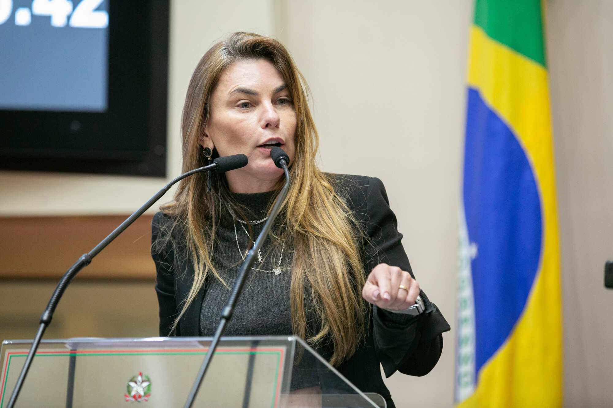 - Deputada Paulinha (Podemos)