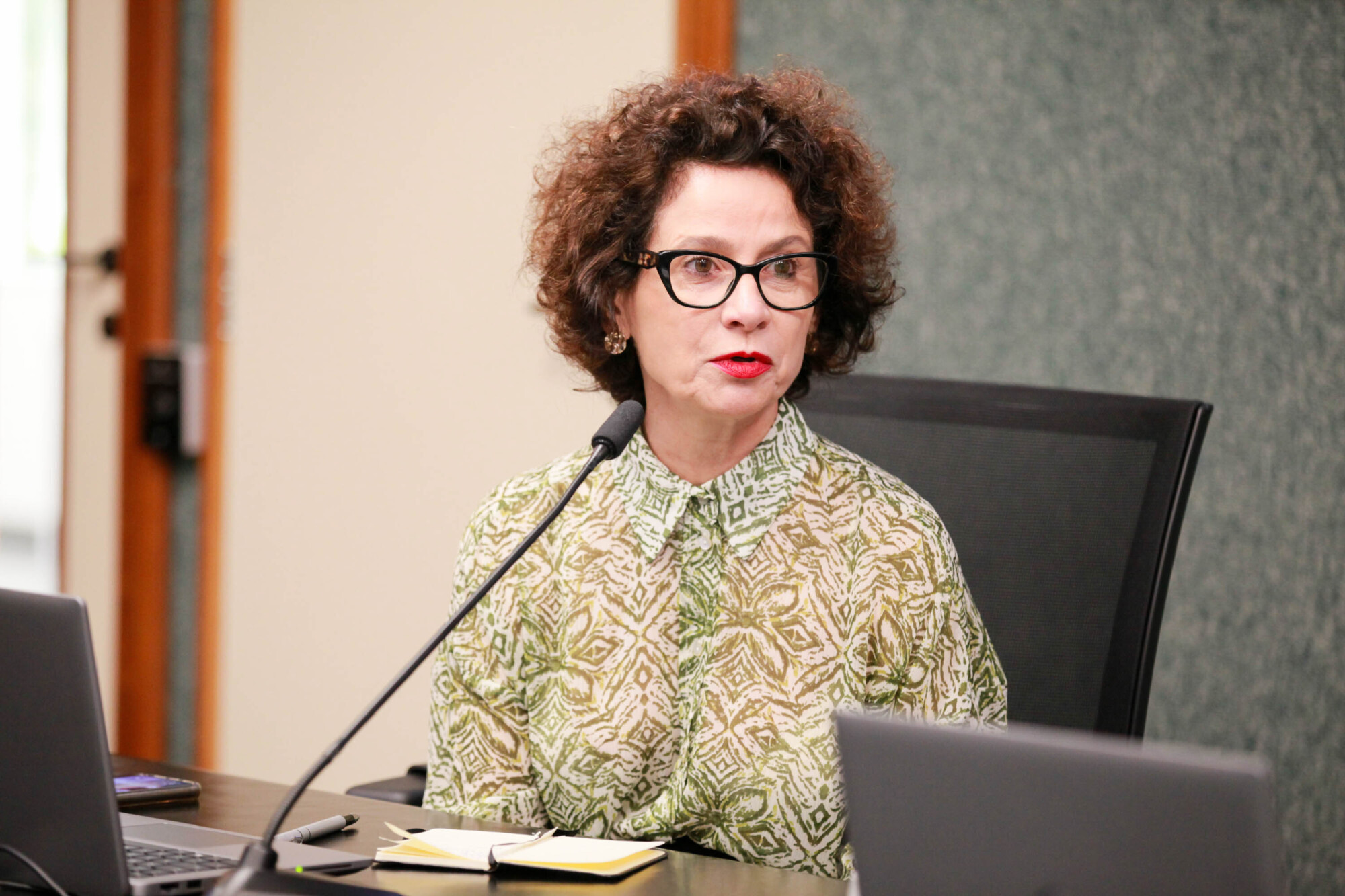 -Doutora em Direito, Maria Aparecida Lucca Caovilla - Defensoria Publica SC