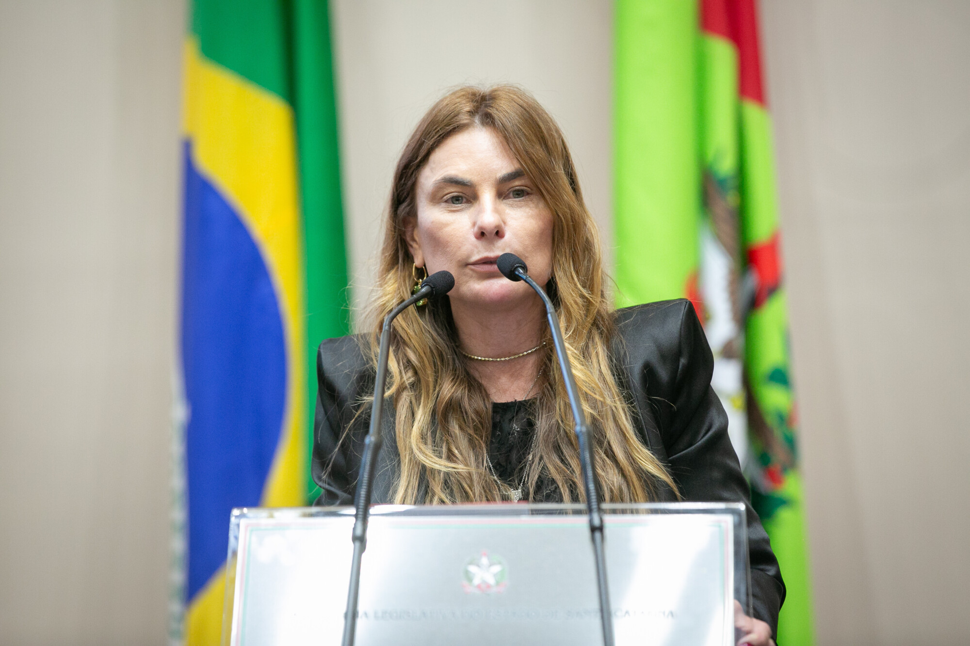 - Deputada Paulinha (Podemos)