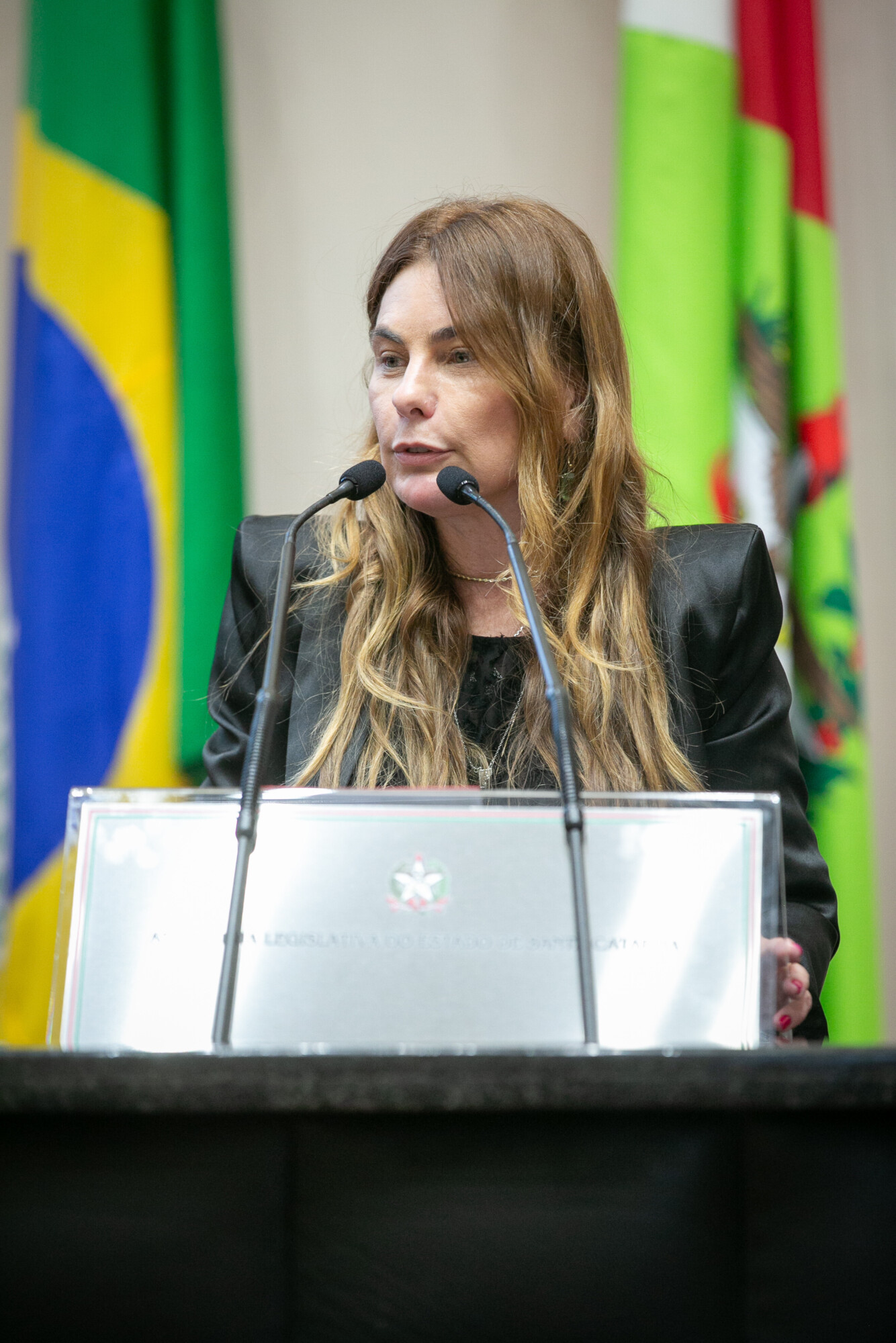 - Deputada Paulinha (Podemos)