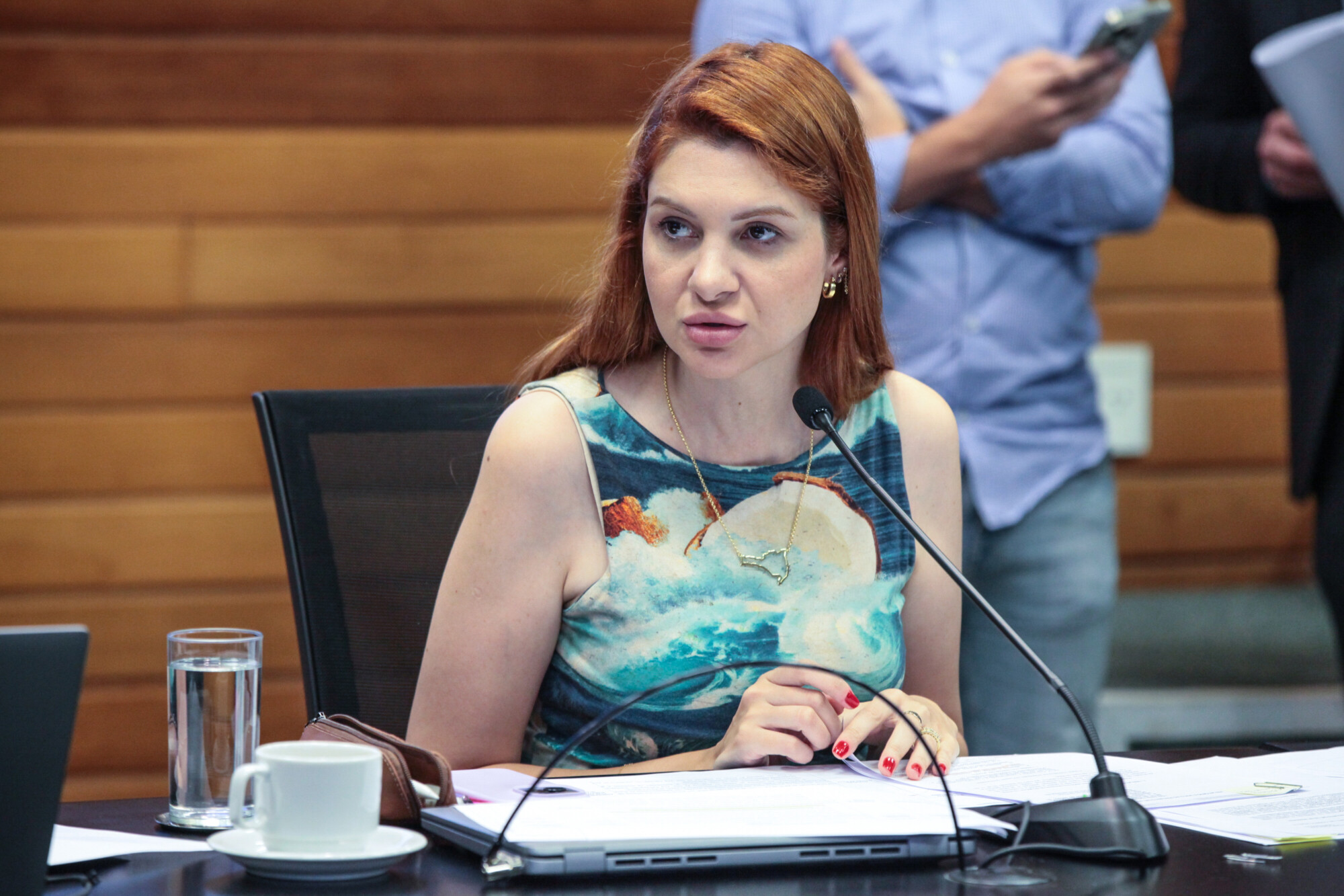 - Deputada Ana Campagnolo (PL)