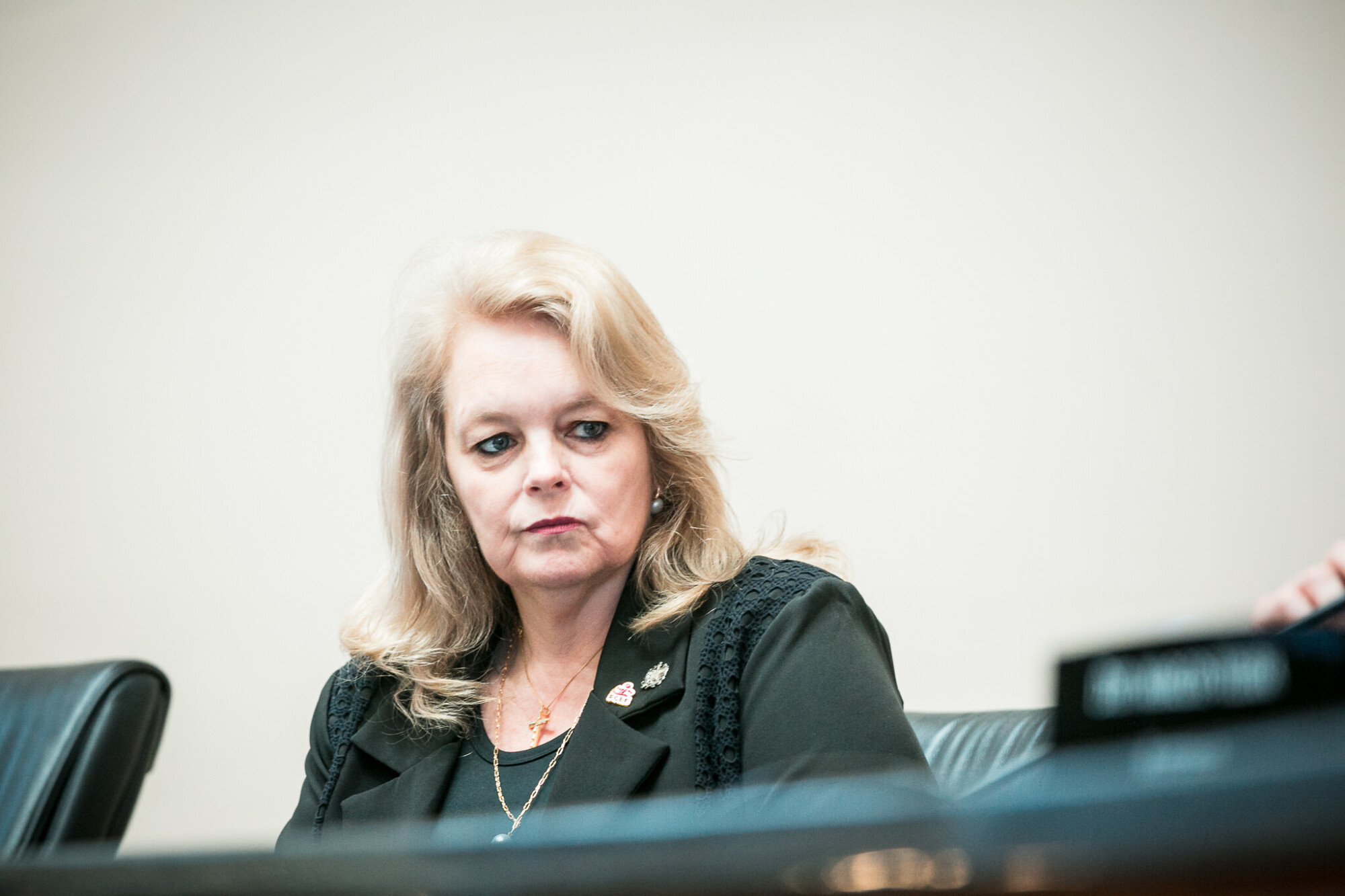 -Jeane Rauh Probst Leite - Presidente da Fundação Catarinense de Educação Especial