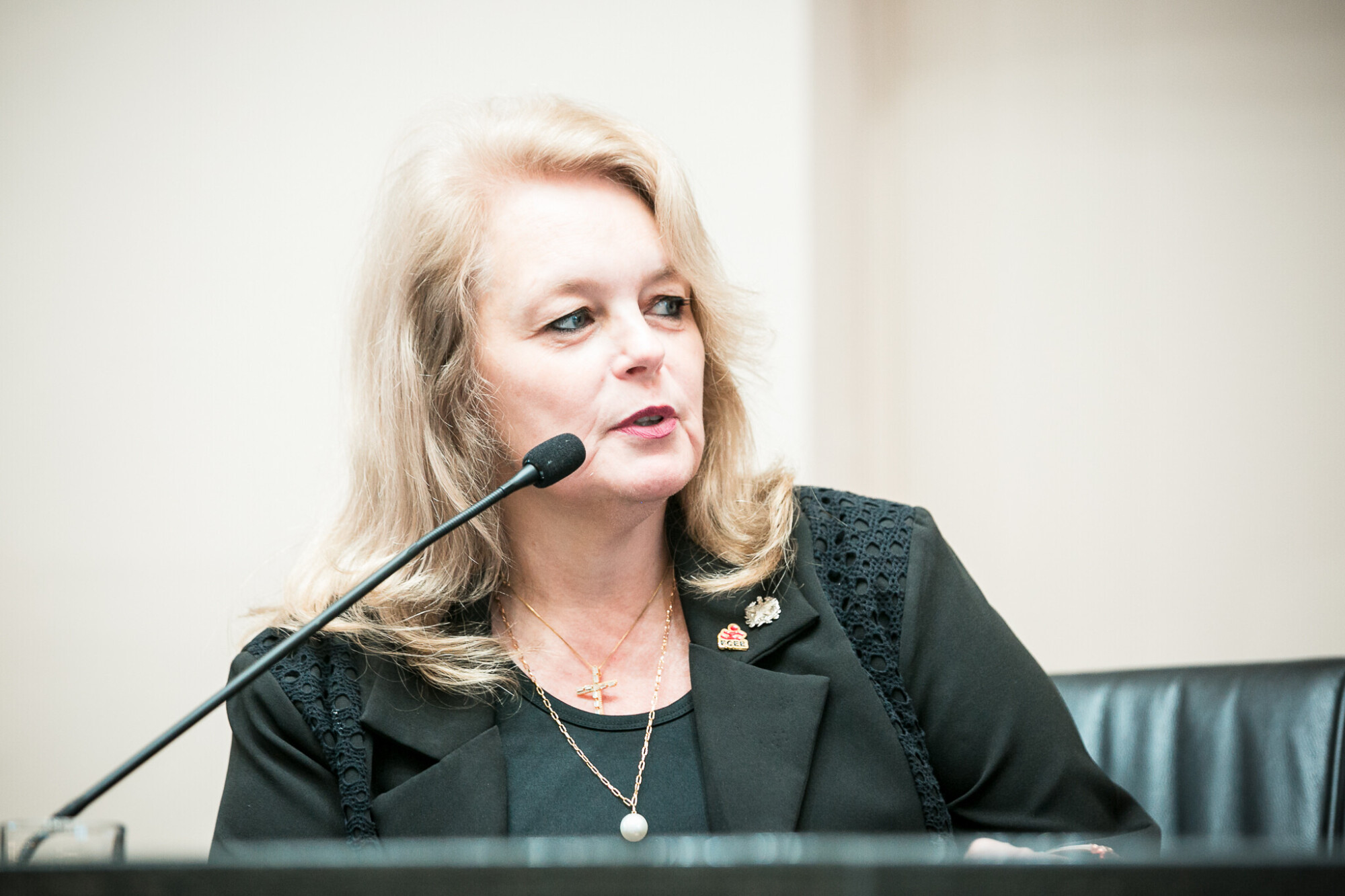 -Jeane Rauh Probst Leite - Presidente da Fundação Catarinense de Educação Especial