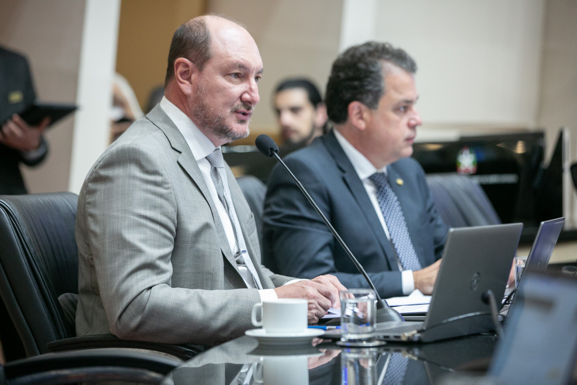 - Deputado Mauro de Nadal (MDB) 	
 - Deputado Rodrigo Minotto (PDT)