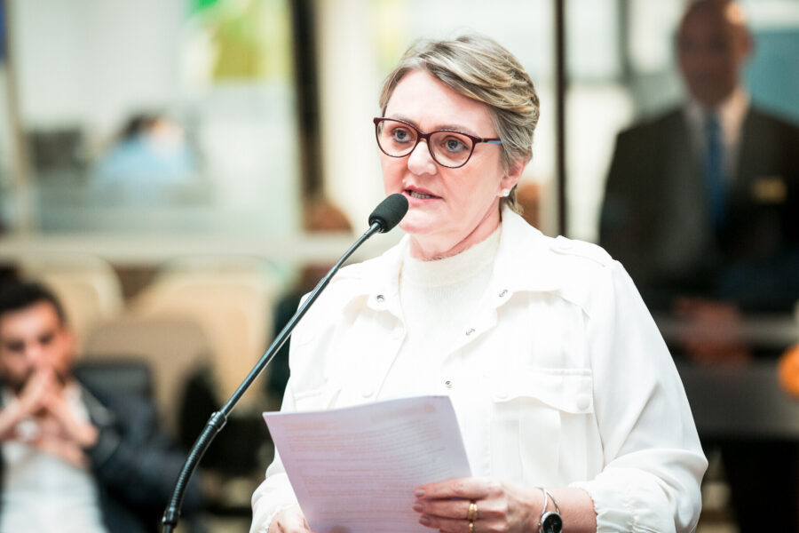 Deputada Luciane Carminatti (PT)