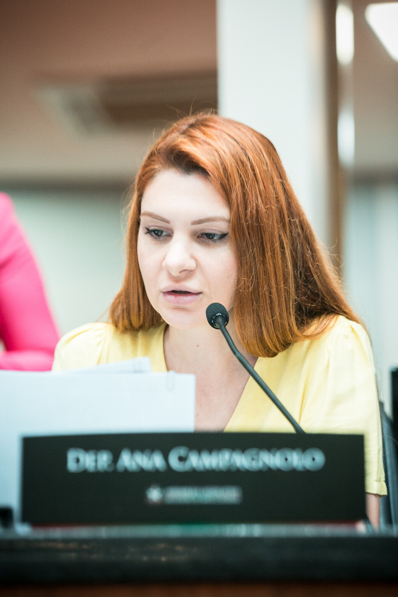 - Deputada Ana Campagnolo (PL)