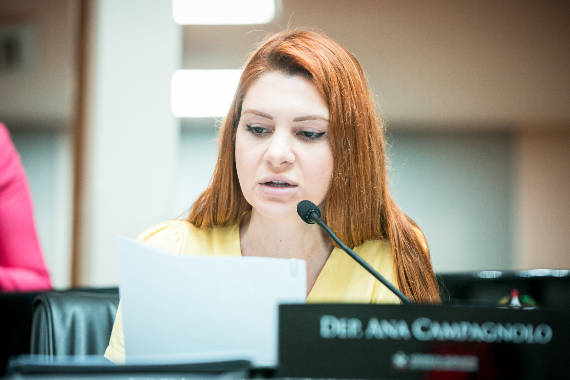 - Deputada Ana Campagnolo (PL)