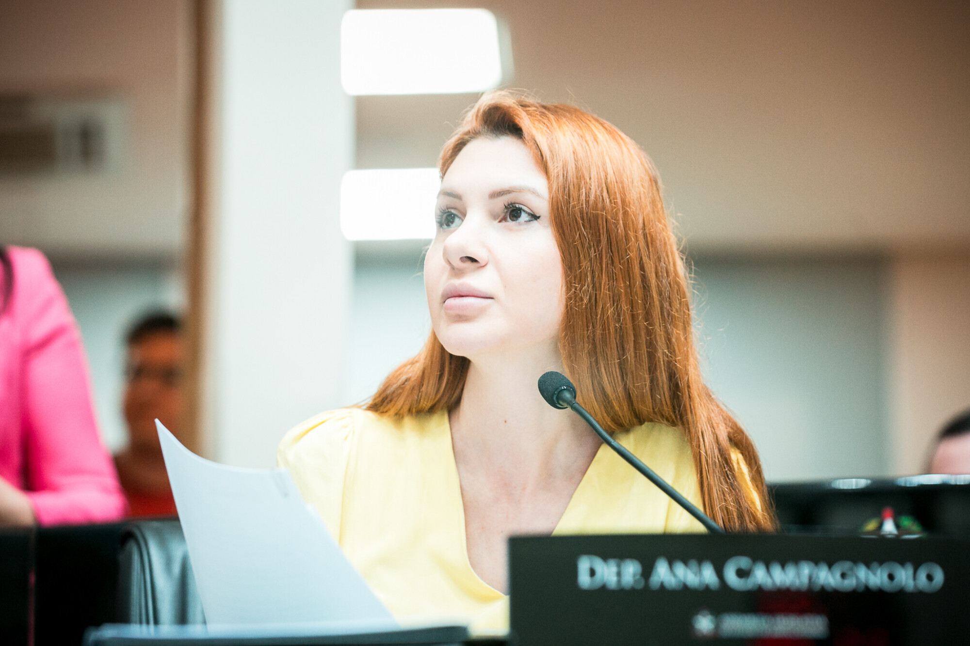 - Deputada Ana Campagnolo (PL)