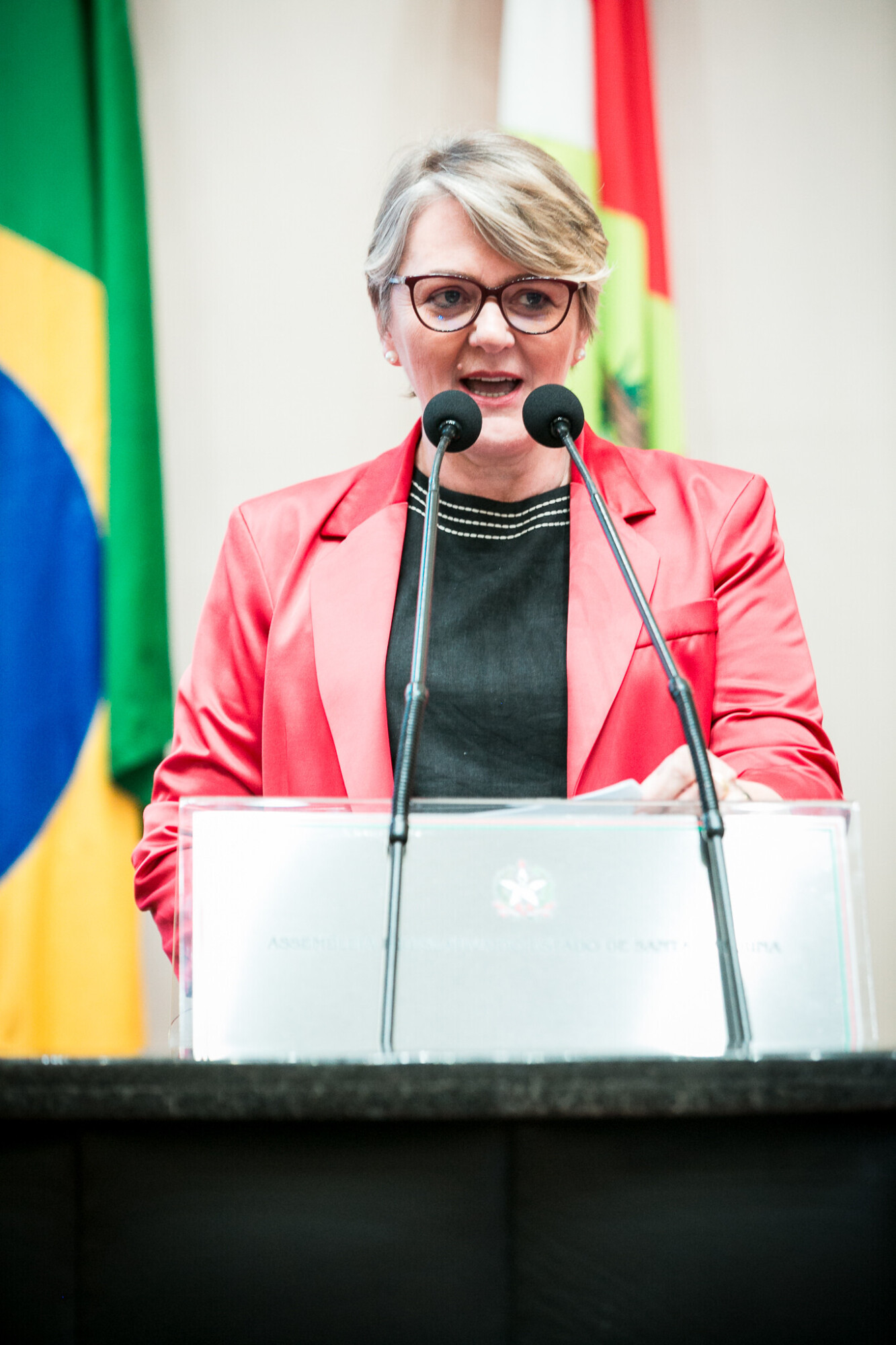 - Deputada Luciane Carminatti (PT)