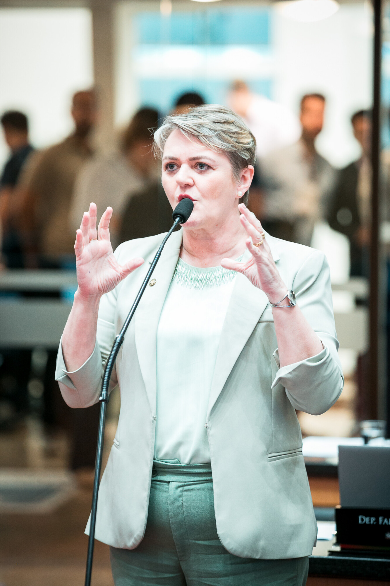 - Deputada Luciane Carminatti (PT)