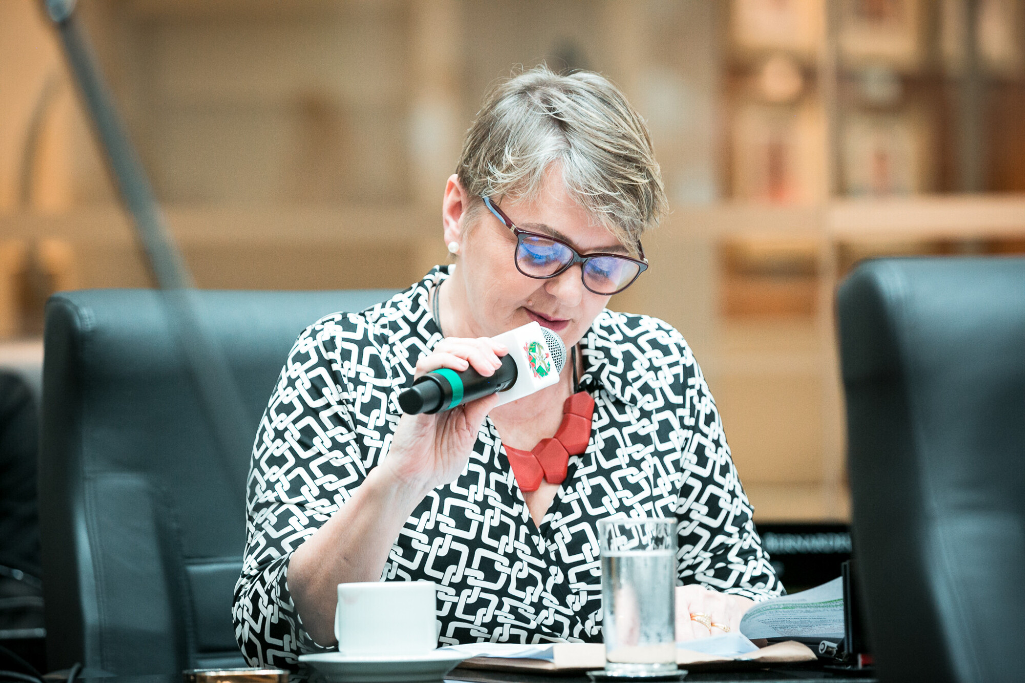 - Deputada Luciane Carminatti (PT)