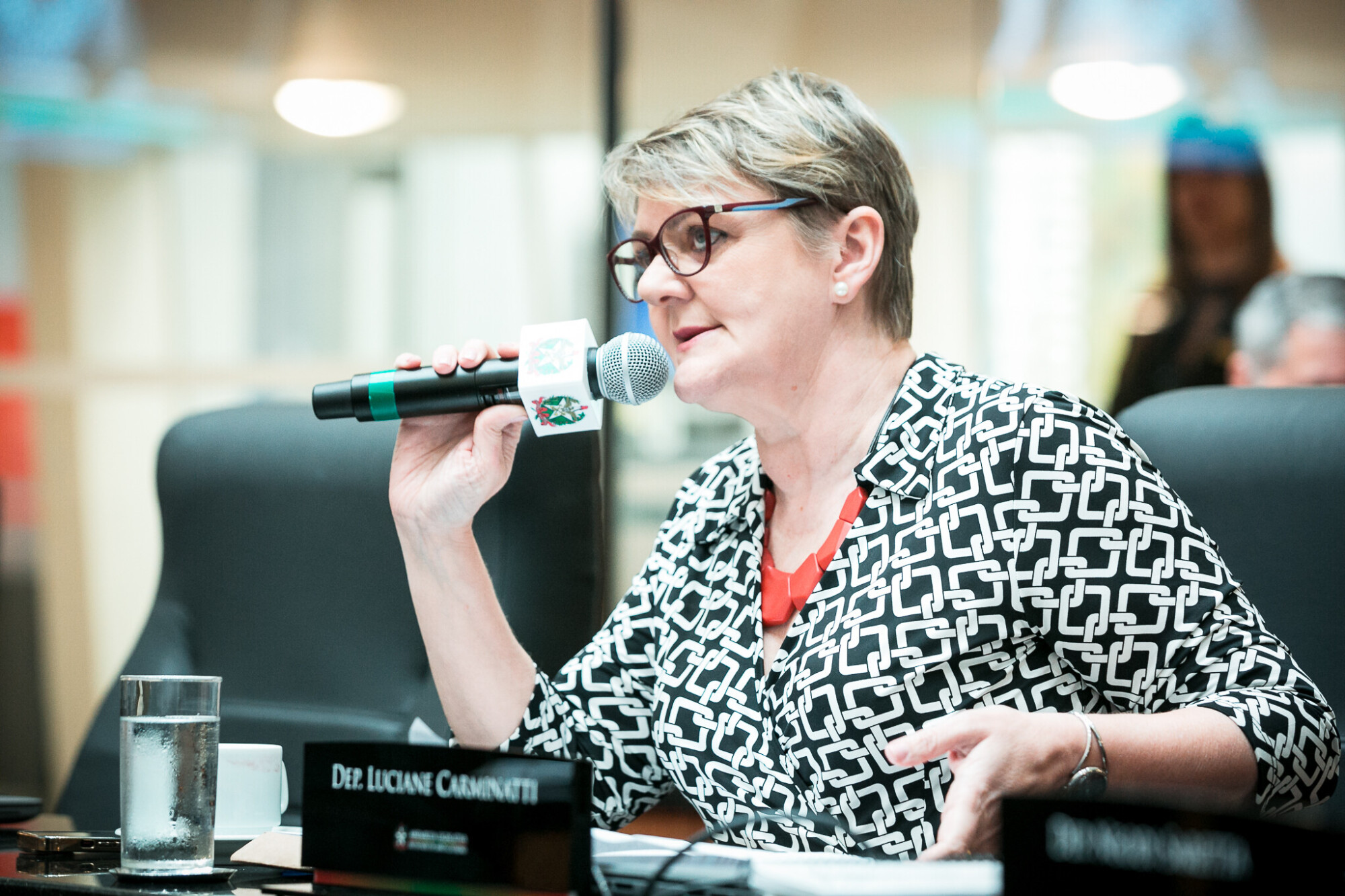 - Deputada Luciane Carminatti (PT)