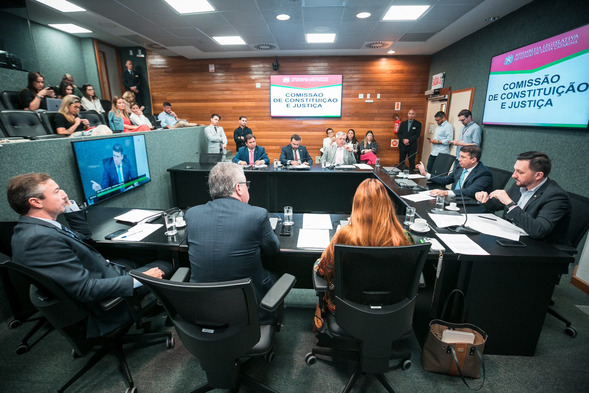 Comissão de Constituição e Justiça