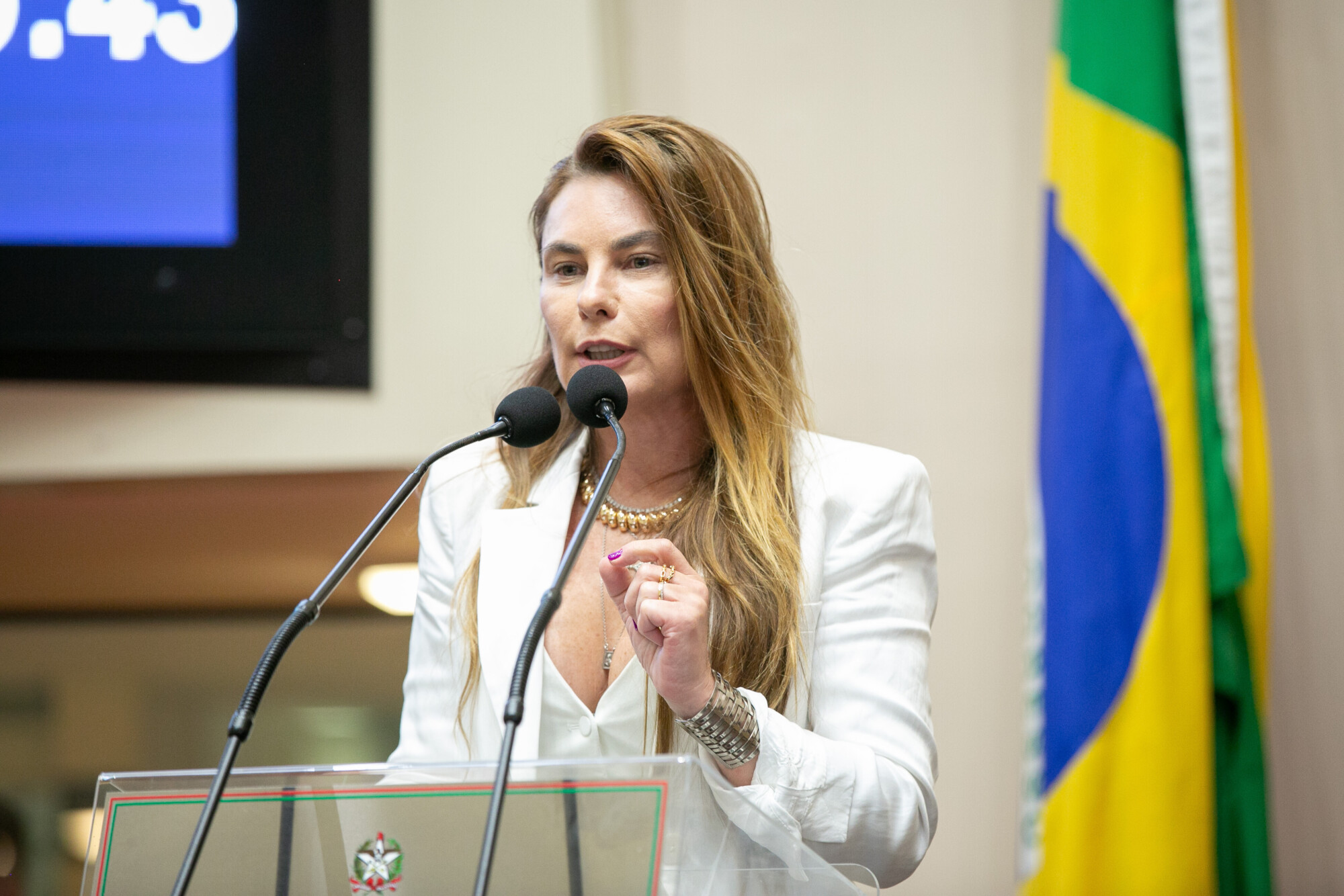 - Deputada Paulinha (Podemos)