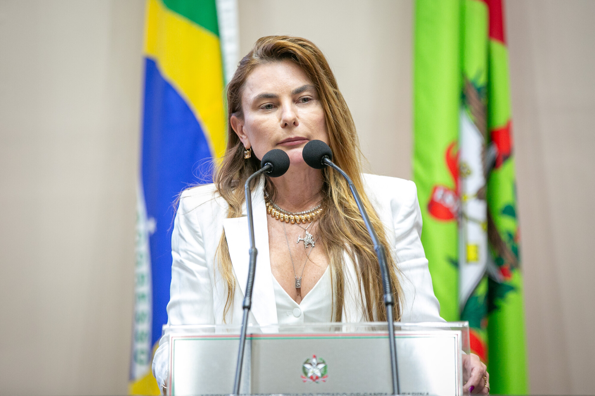 - Deputada Paulinha (Podemos)