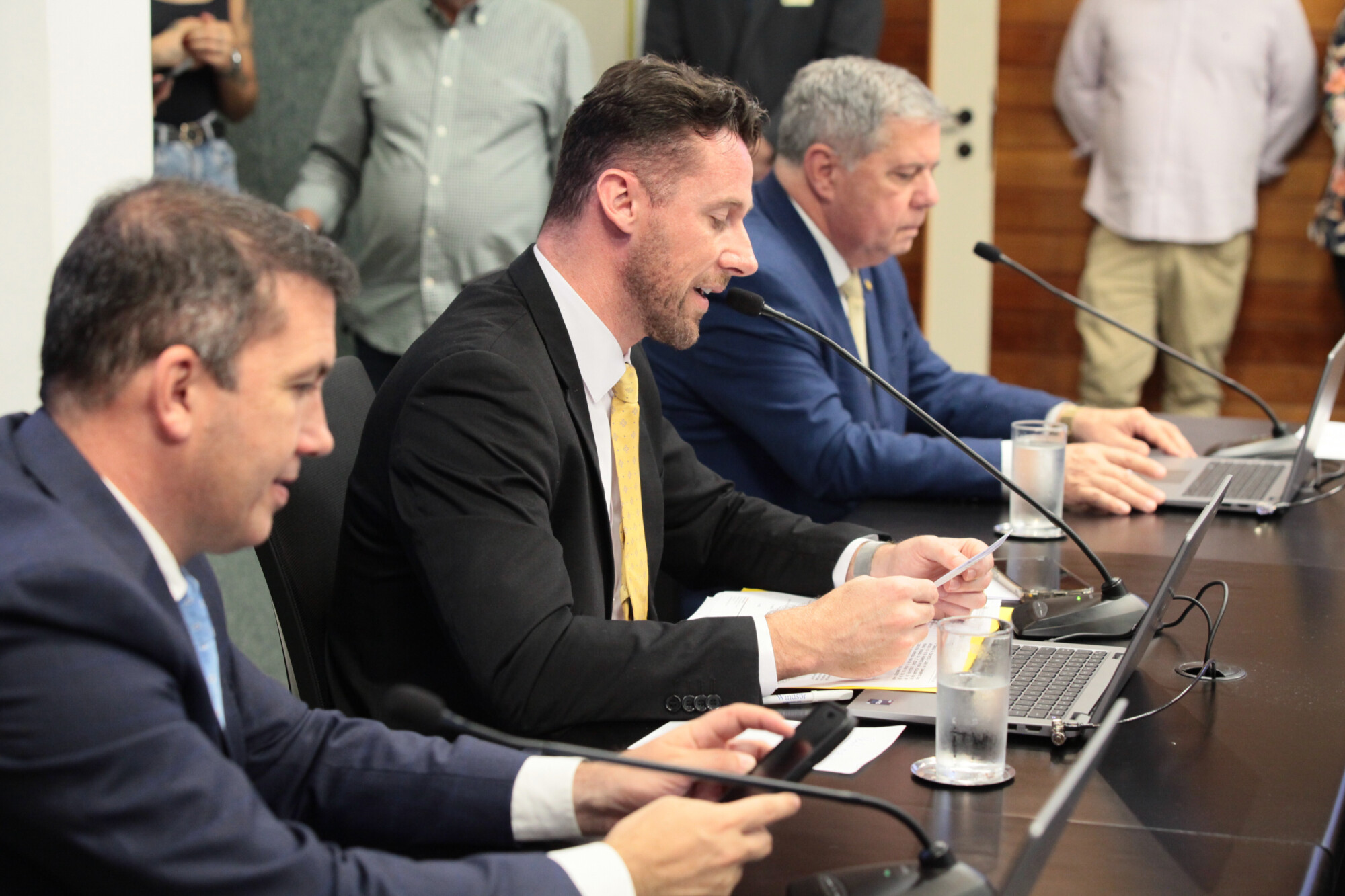 - Deputado Camilo Martins (Podemos) 	
 - Deputado Fernando Krelling (MDB) 	 - Deputado Mário Motta (PSD)