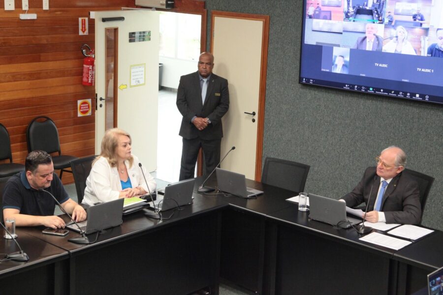 Presidente da FCEE, Jeane Probst Leite, na reunião da comissão