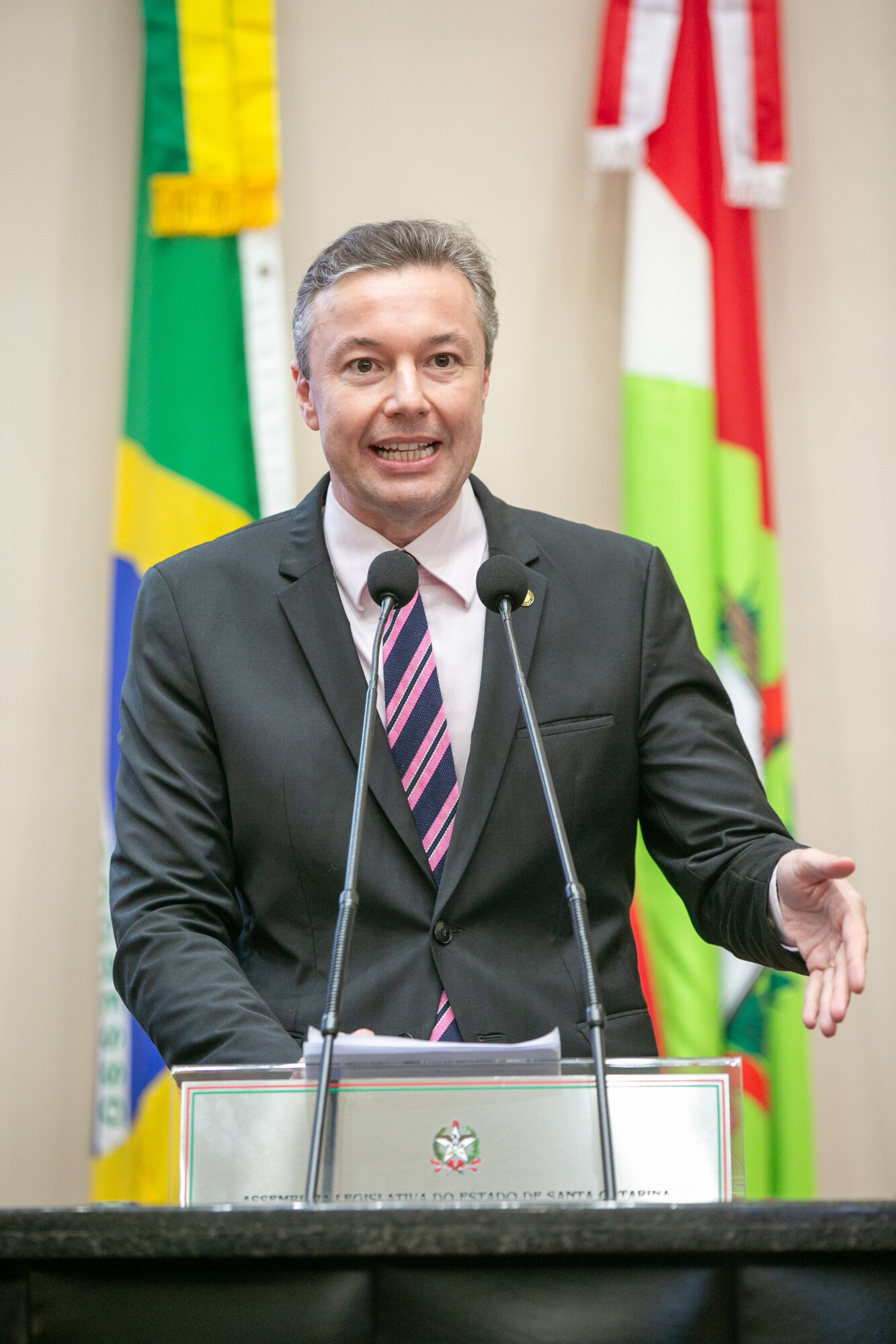 - Deputado Napoleão Bernardes (PSD)