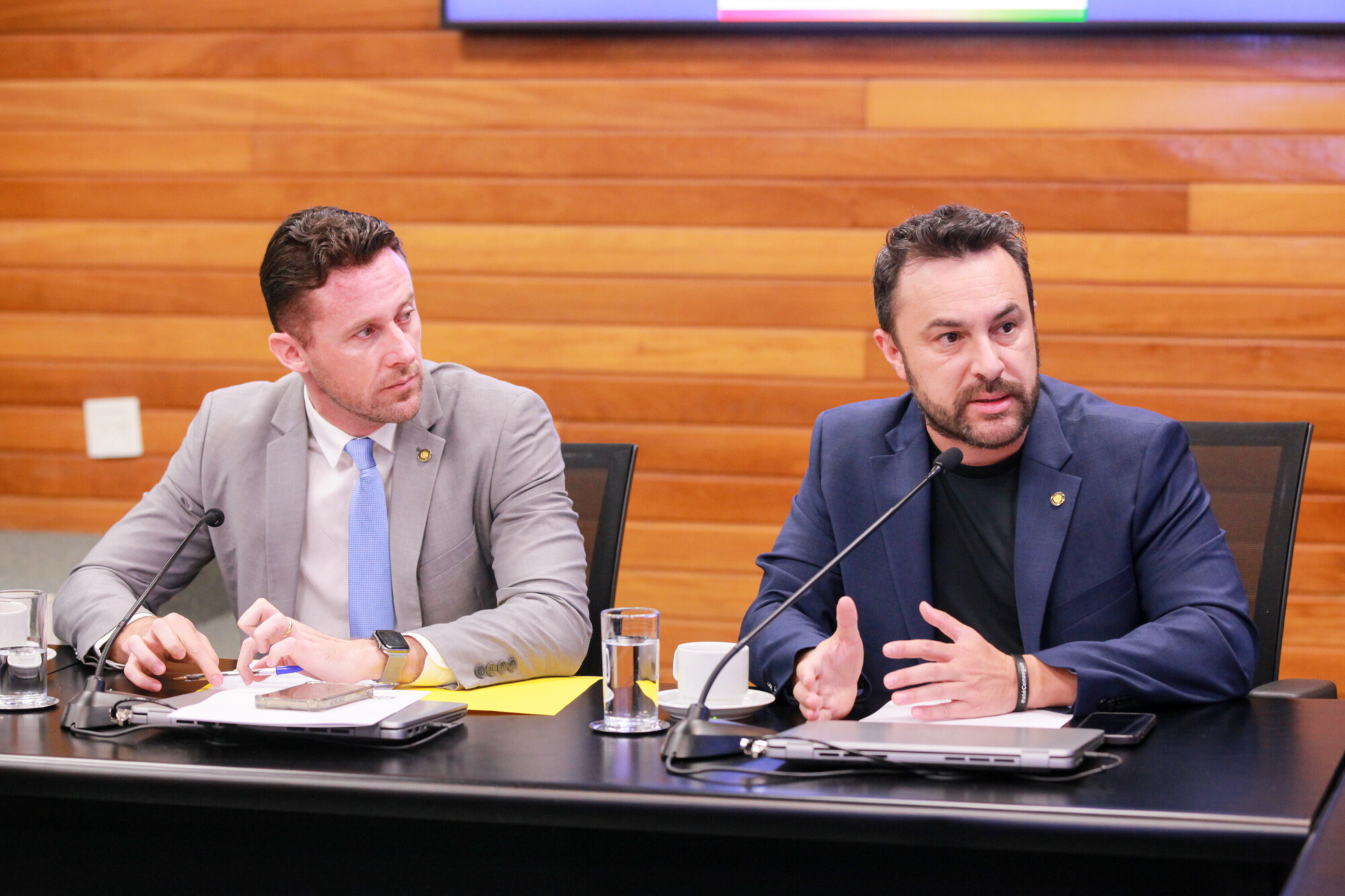- Deputado Fernando Krelling (MDB) 	
- Deputado Marcius Machado (PL)