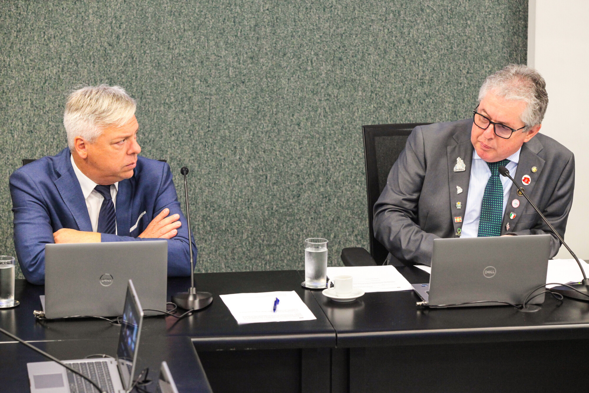 - Deputado Fabiano da Luz (PT) 	
 - Deputado Tiago Zilli (MDB)