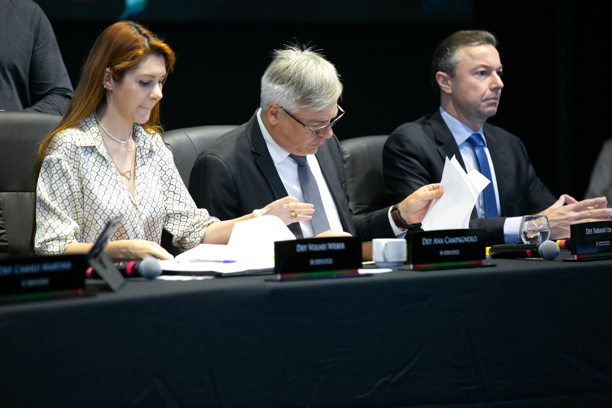 - Deputada Ana Campagnolo (PL)
 - Deputado Fabiano da Luz (PT) 	 - Deputado Napoleão Bernardes (PSD)
