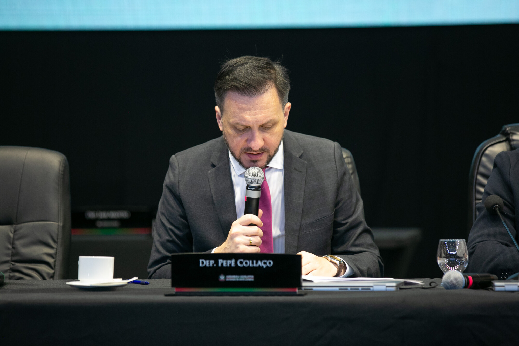 - Deputado Pepê Collaço (PP)