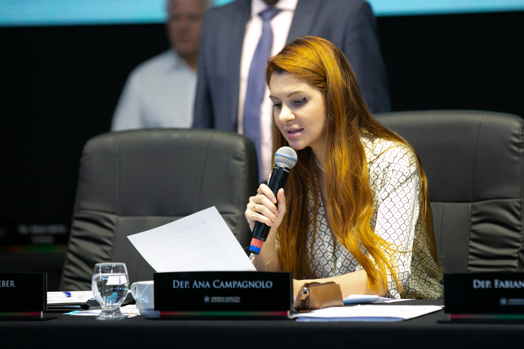 - Deputada Ana Campagnolo (PL)