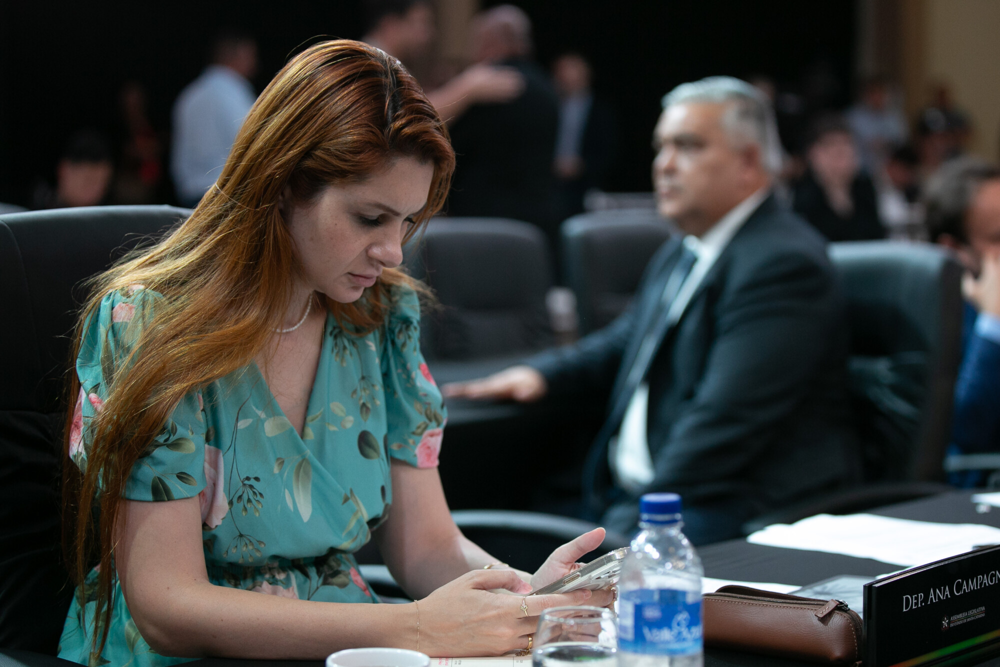 - Deputada Ana Caroline Campagnolo (PL)