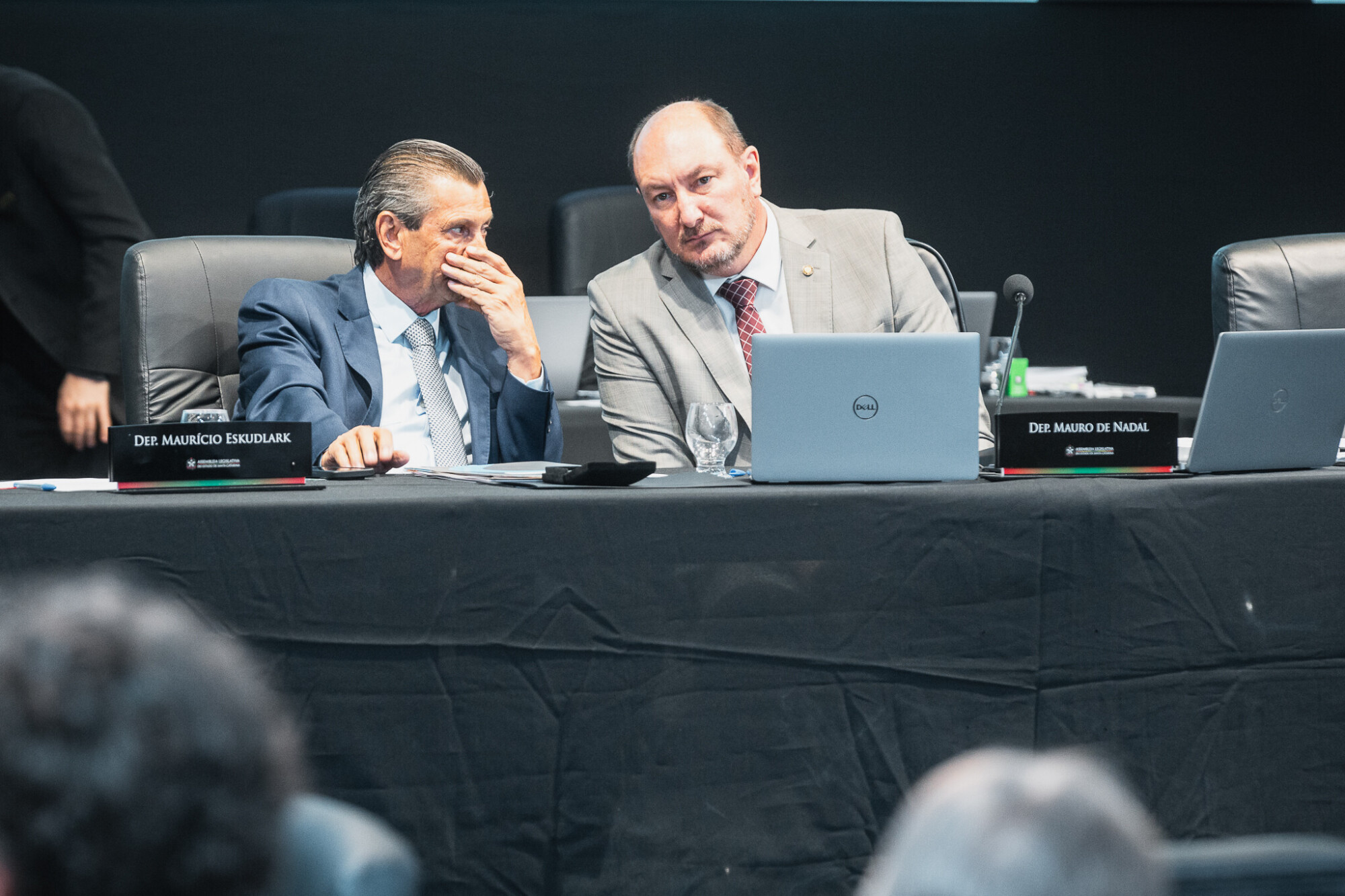 - Deputado Julio Garcia (PSD) 	
 - Deputado Mauro de Nadal (MDB)