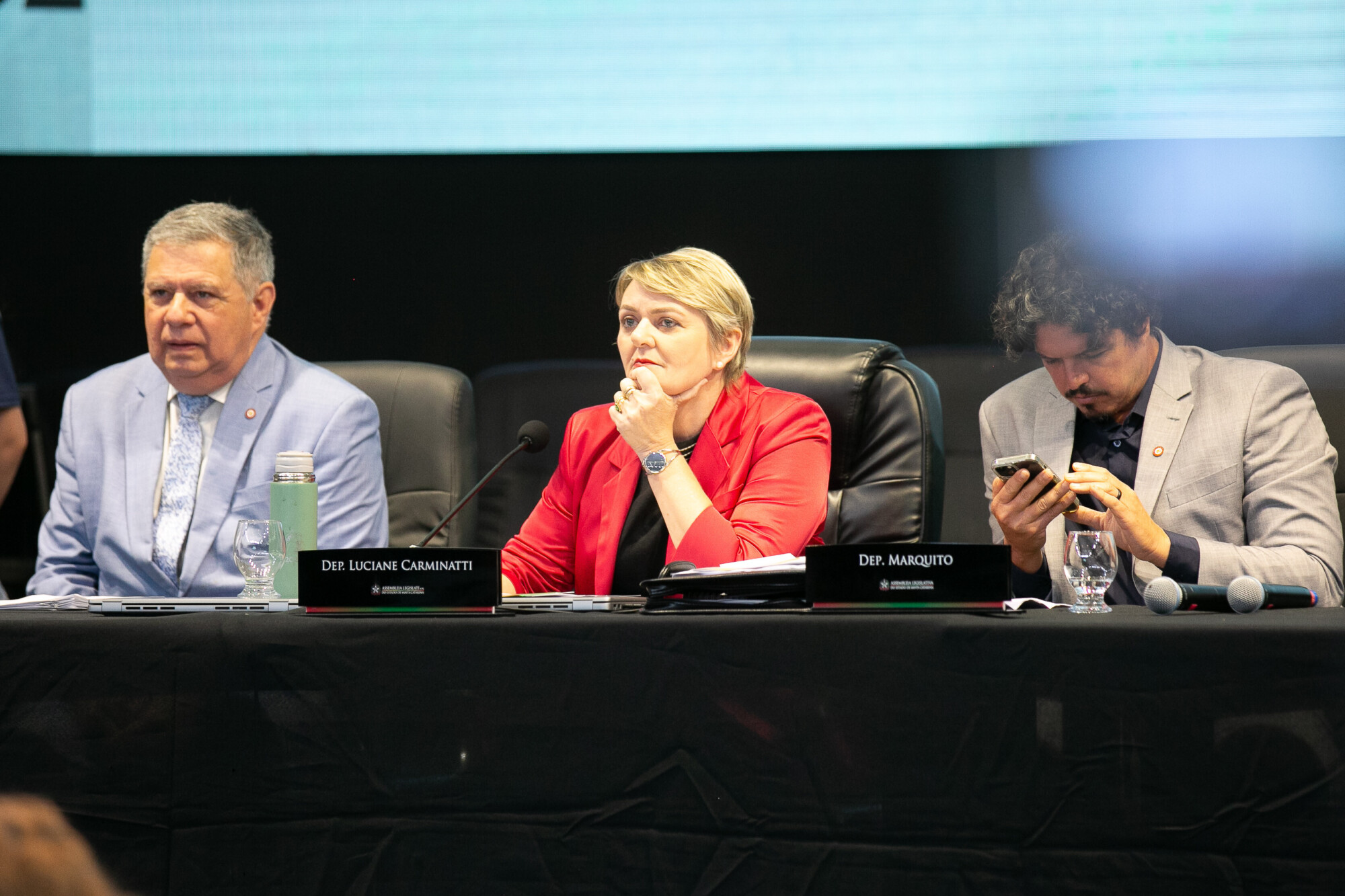 - Deputado Mário Motta (PSD)
 - Deputada Luciane Carminatti (PT) 		
 - Deputado Marquito (PSOL)