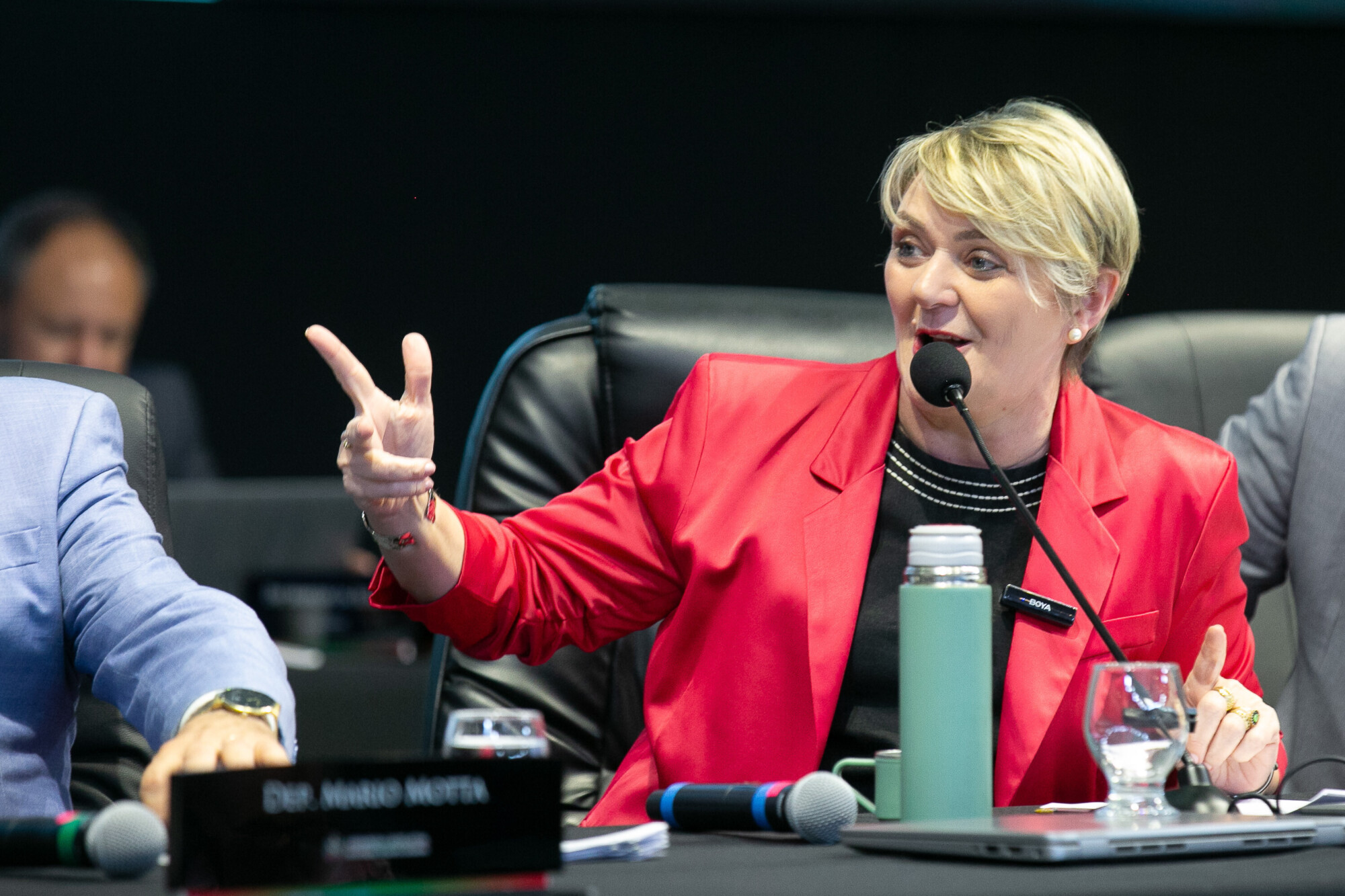 - Deputada Luciane Carminatti (PT)