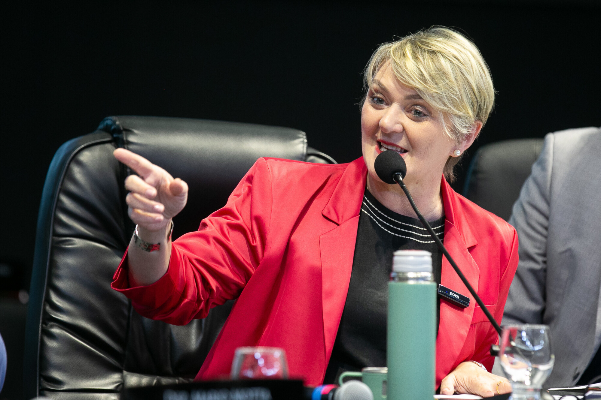 - Deputada Luciane Carminatti (PT)