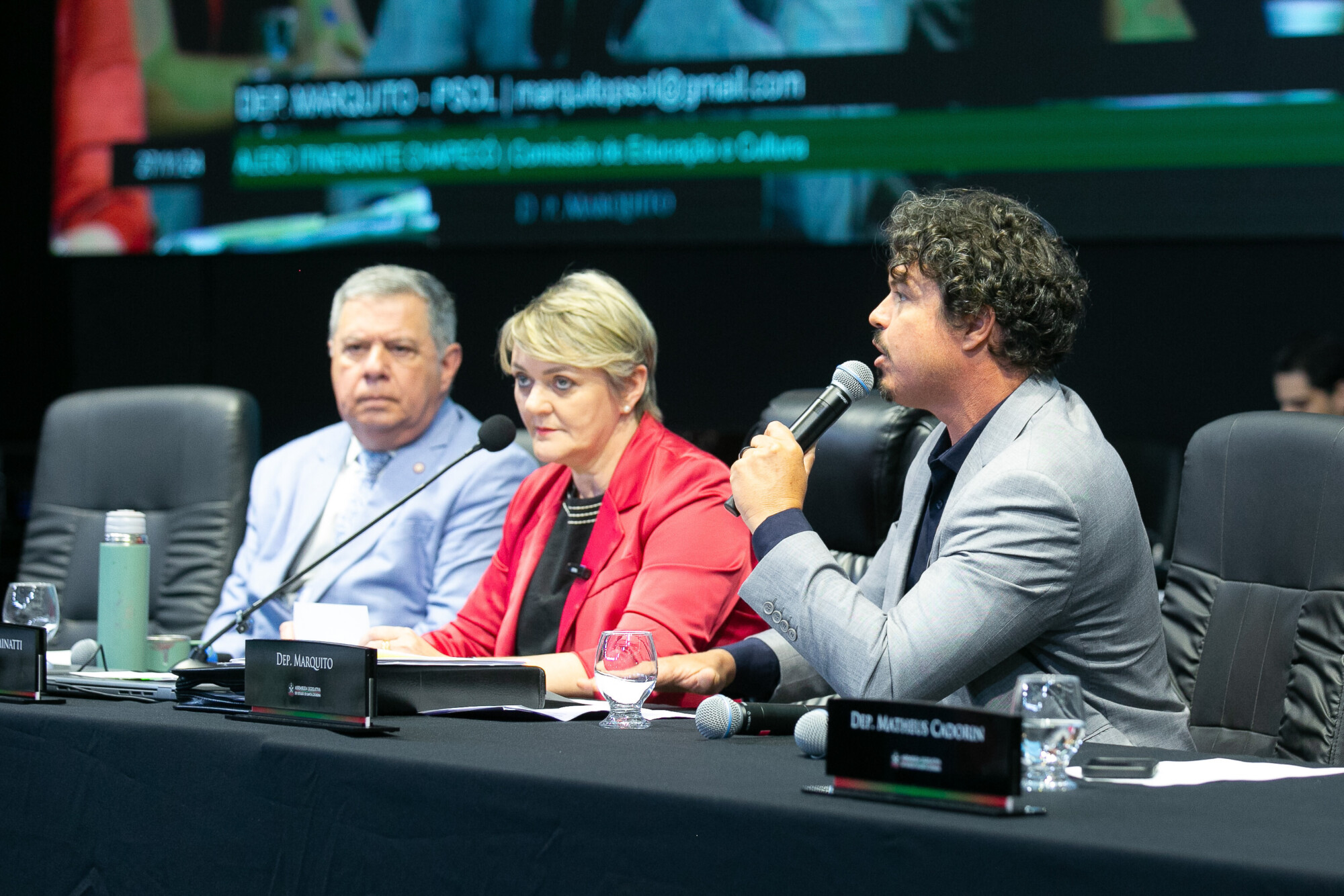 - Deputado Mário Motta (PSD)
 - Deputada Luciane Carminatti (PT) 		
 - Deputado Marquito (PSOL)