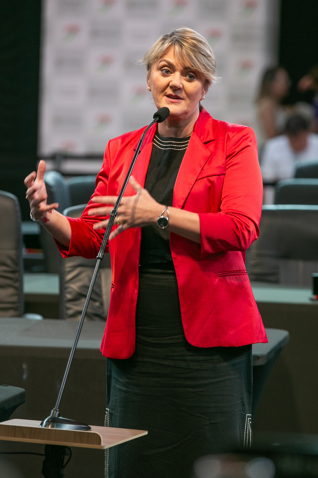 - Deputada Luciane Carminatti (PT)