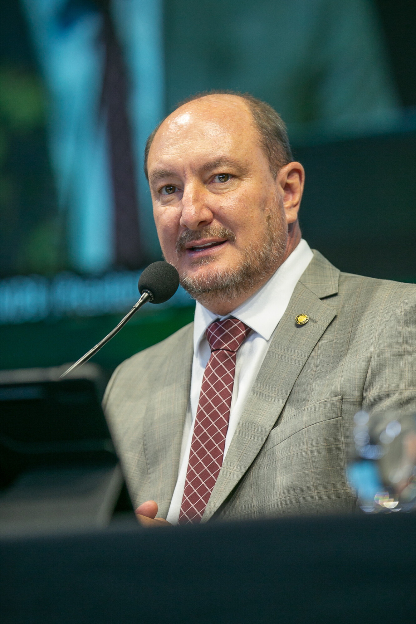 - Deputado Mauro de Nadal (MDB)