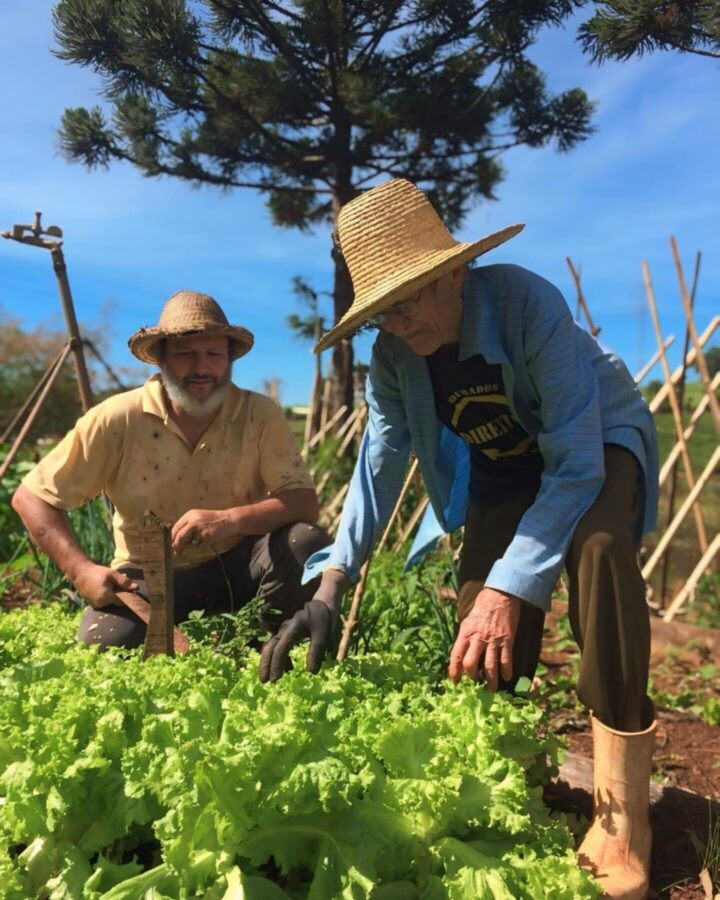 Deputado Padre Pedro é presidente do Fórum Parlamentar da Agroecologia e da Produção Orgânica de Santa Catarina FOTO: Arquivo pessoal