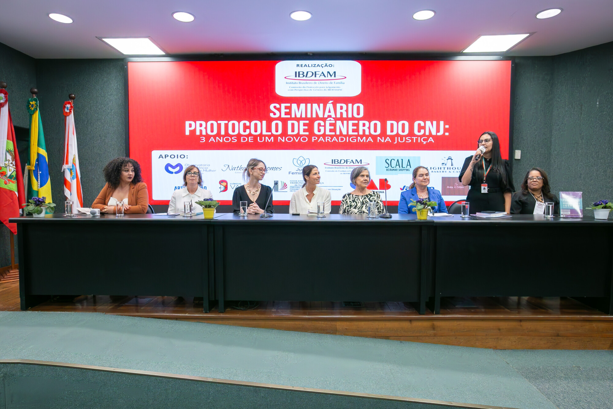 Protocolo para Julgamento com Perspectiva de Gênero: Avanços e Aplicações