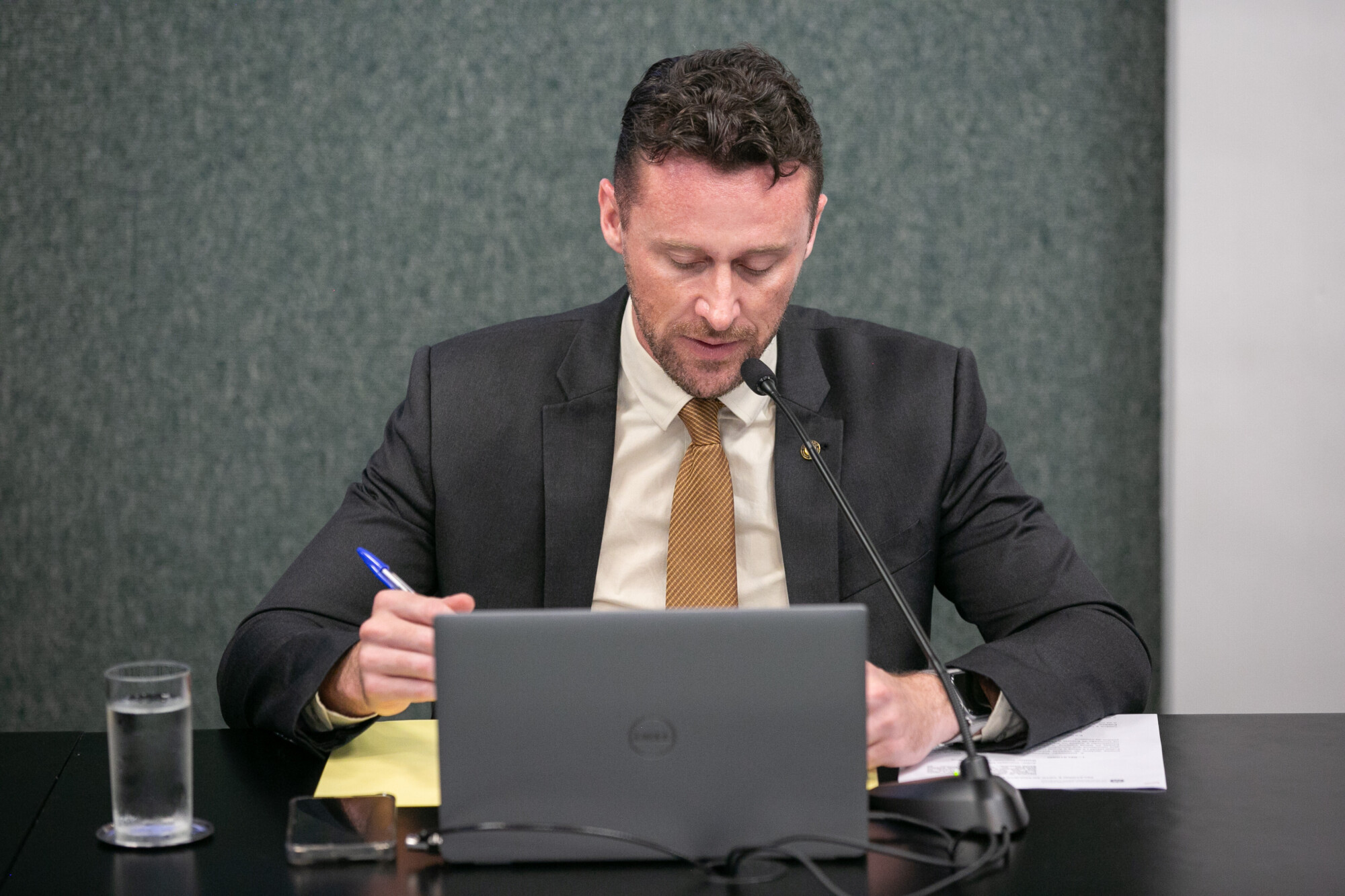- Deputado Fernando Krelling (MDB)