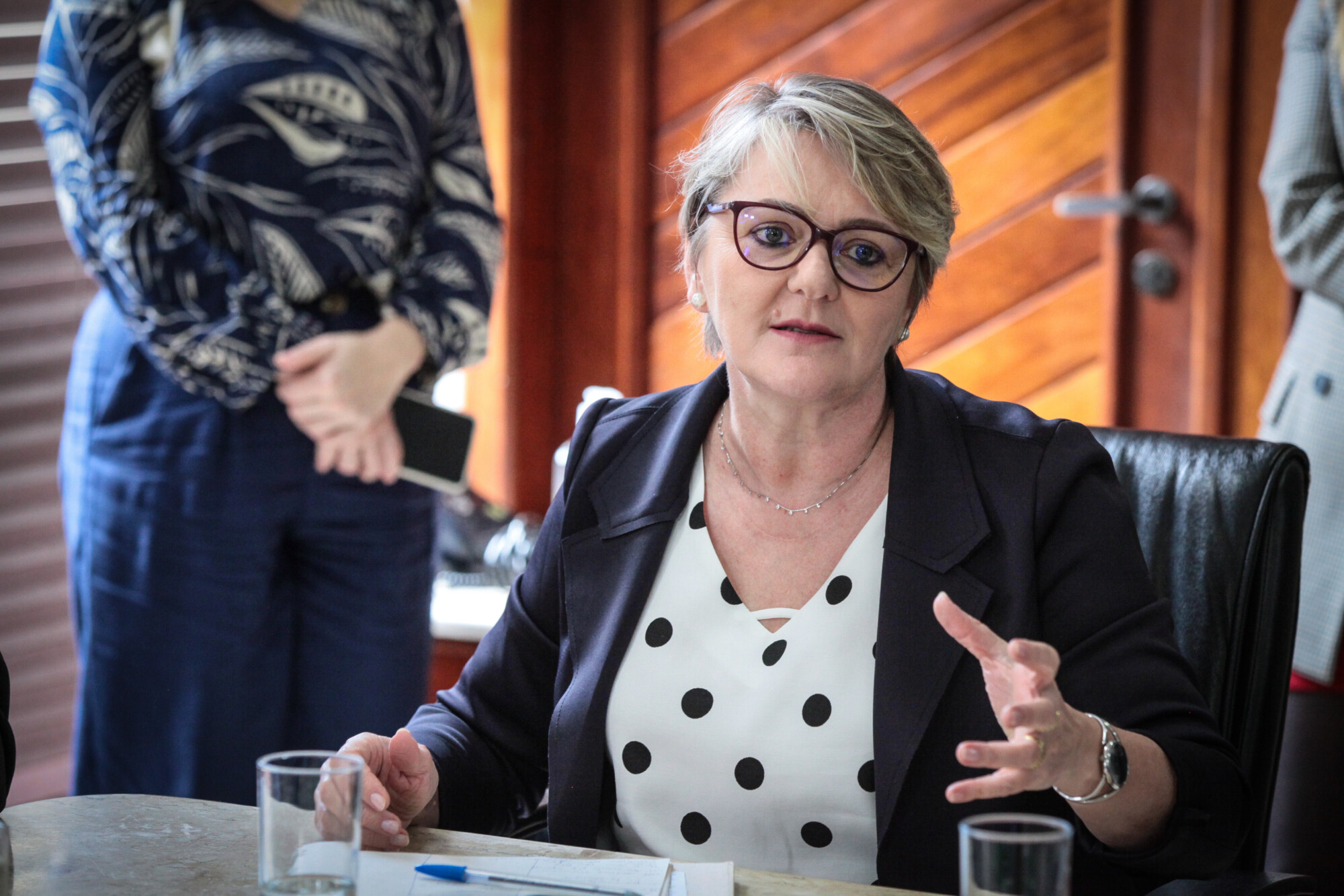 - Deputada Luciane Carminatti (PT)