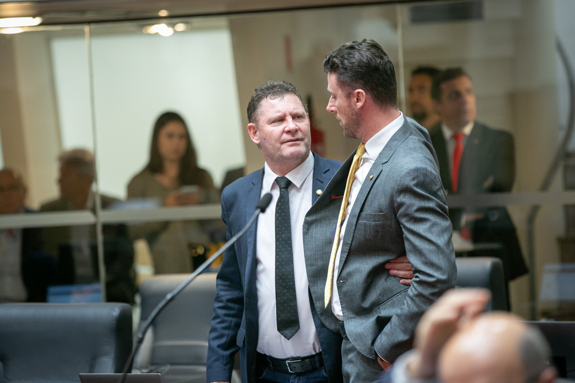 - Deputado Edilson Massoco (PL)	
 - Deputado Fernando Krelling (MDB)