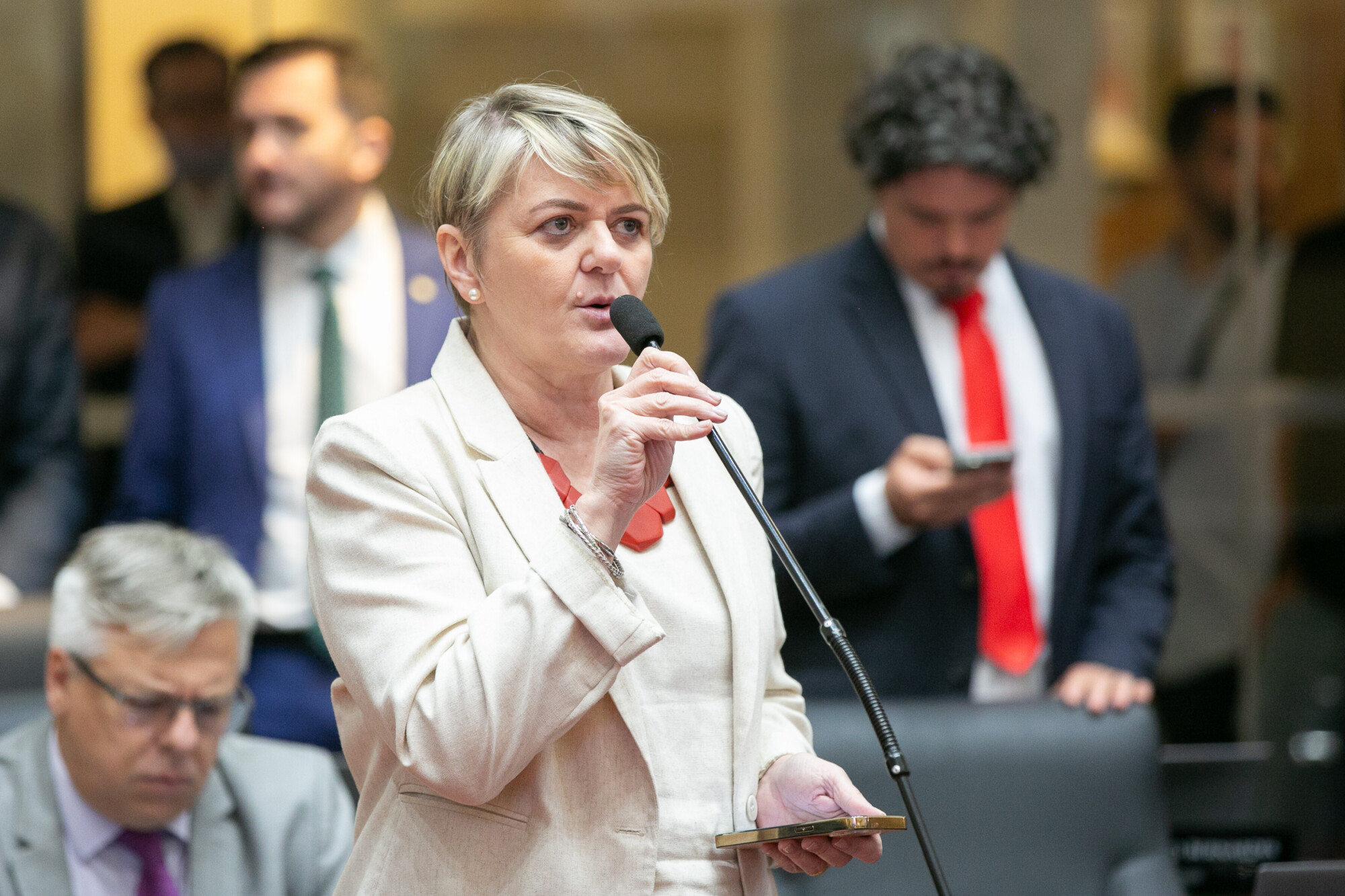 - Deputada Luciane Carminatti (PT)