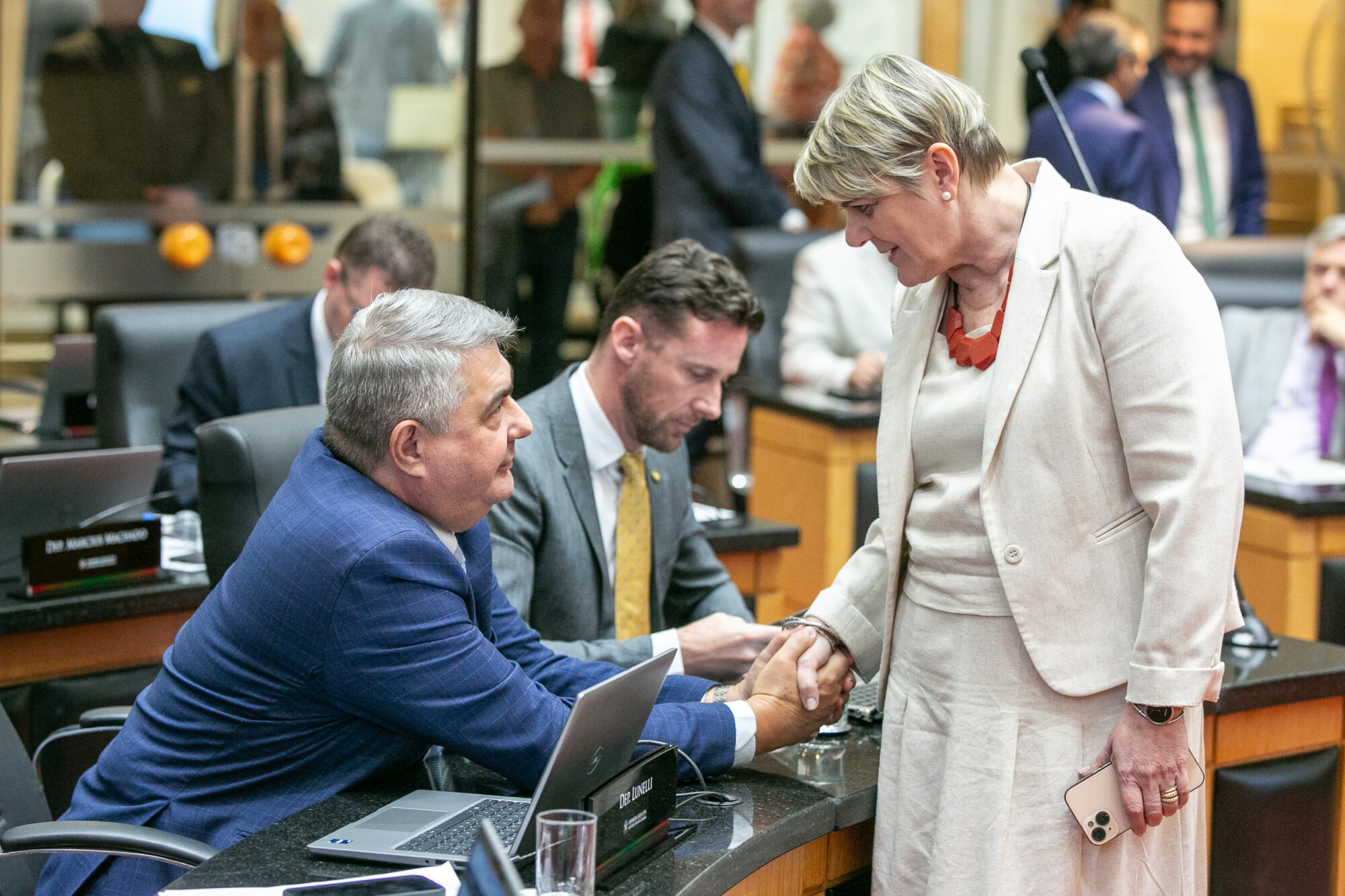 - Deputado Antídio Lunelli (MDB) 	
 - Deputado Fernando Krelling (MDB) 	
 
 - Deputada Luciane Carminatti (PT)
