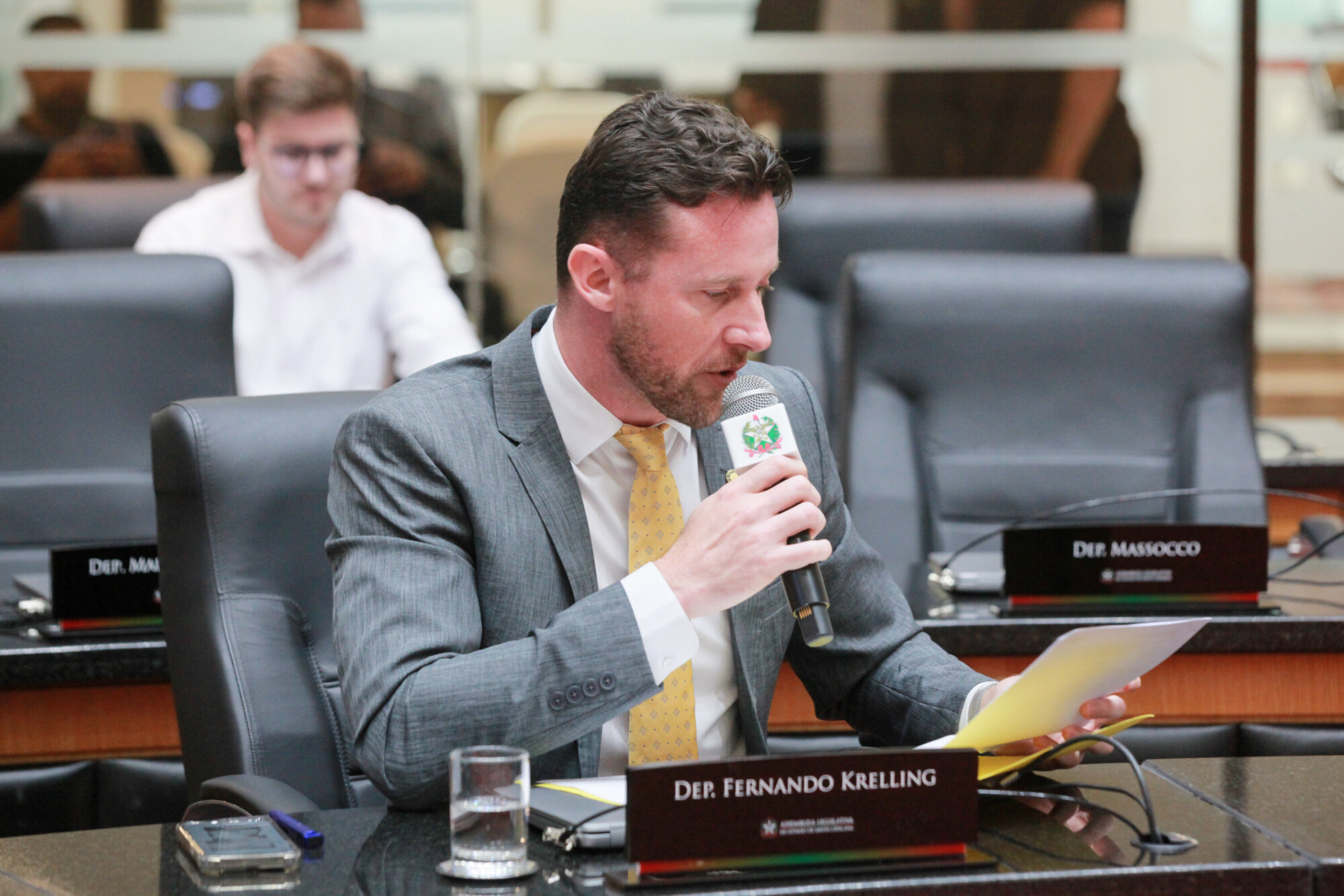 - Deputado Fernando Krelling (MDB)