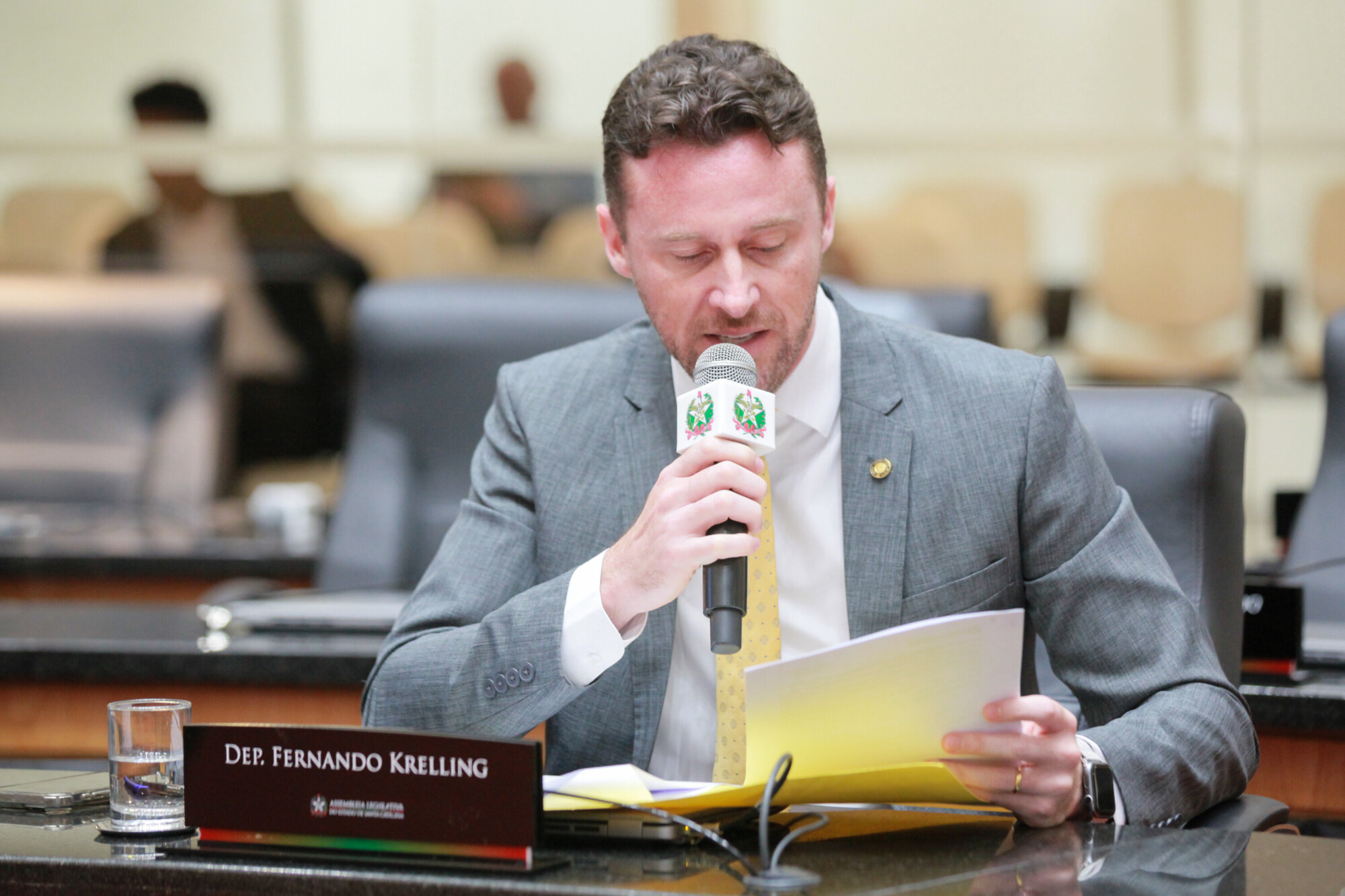 - Deputado Fernando Krelling (MDB)