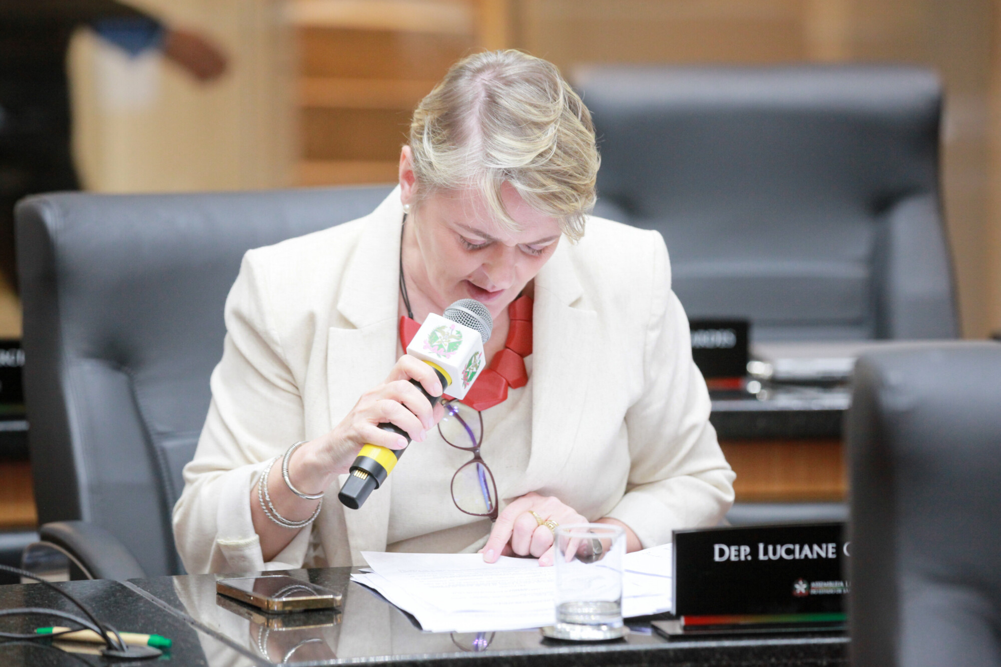 - Deputada Luciane Carminatti (PT)