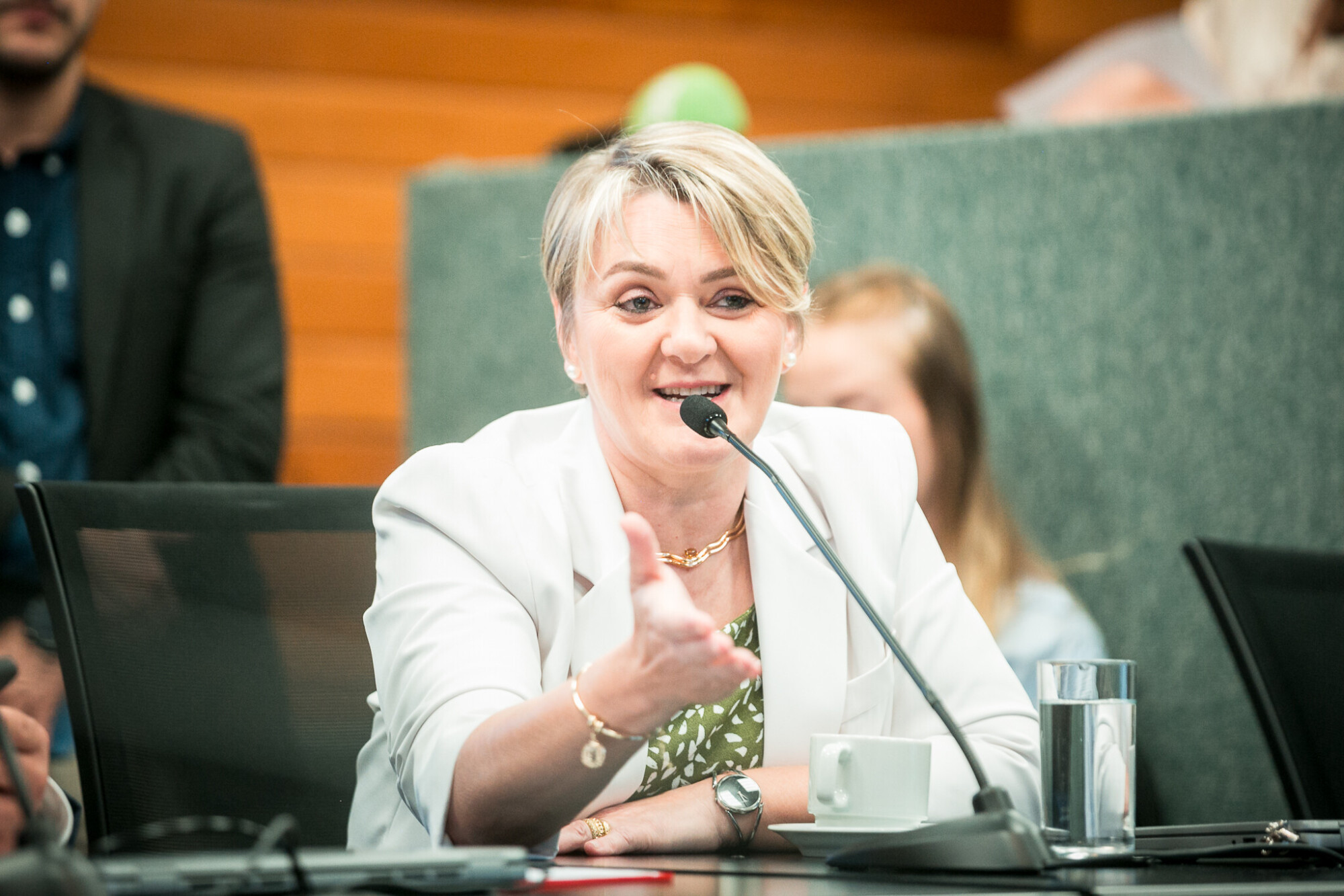 - Deputada Luciane Carminatti (PT)